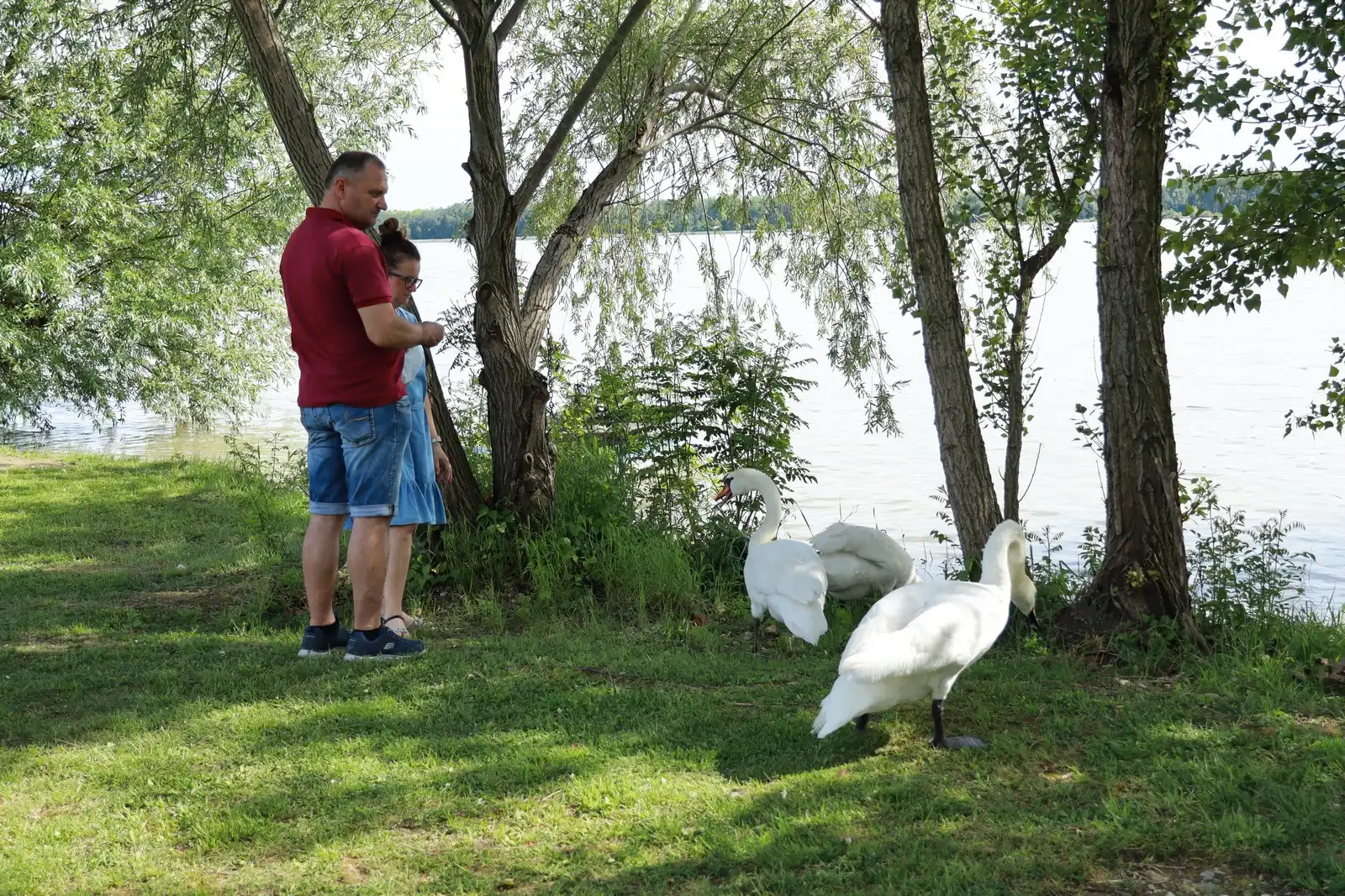 Klikom po Marini (66)