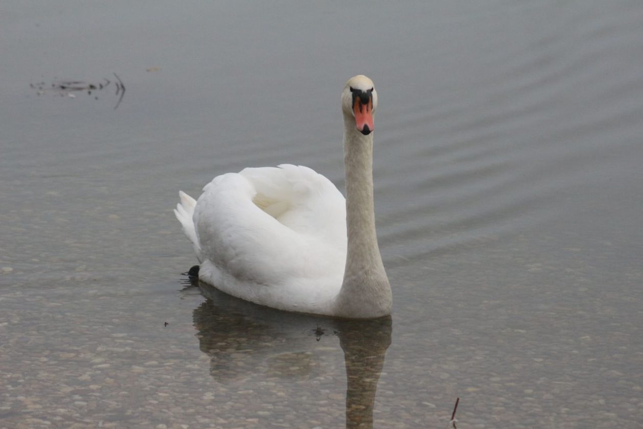 Klikom po Marini 7.12 (10)