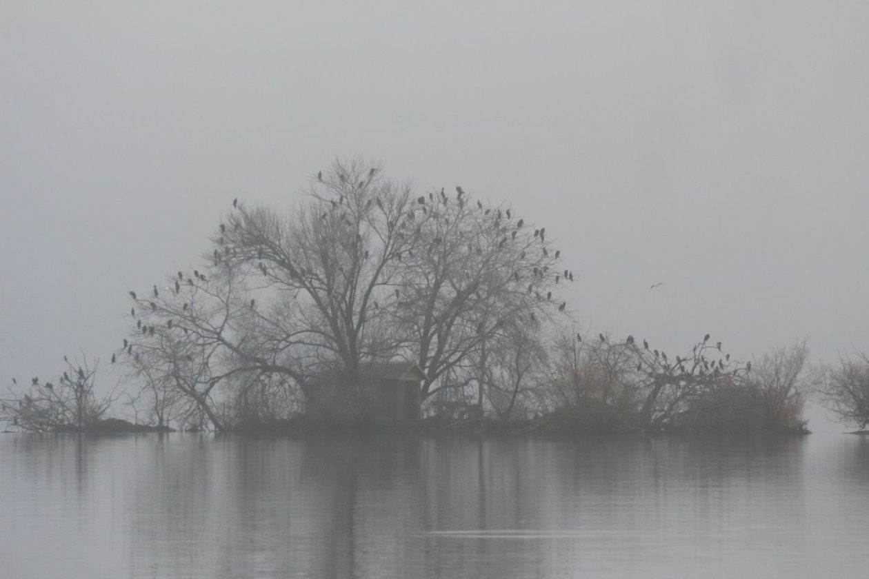 Klikom po Marini 7.12 (16)