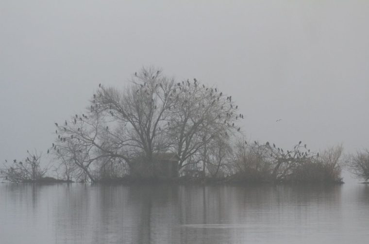 Klikom po Marini 7.12 (16)