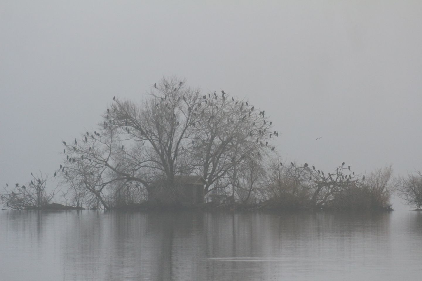 Klikom po Marini 7.12 (16) Klikom po Marini 7.12 (16)