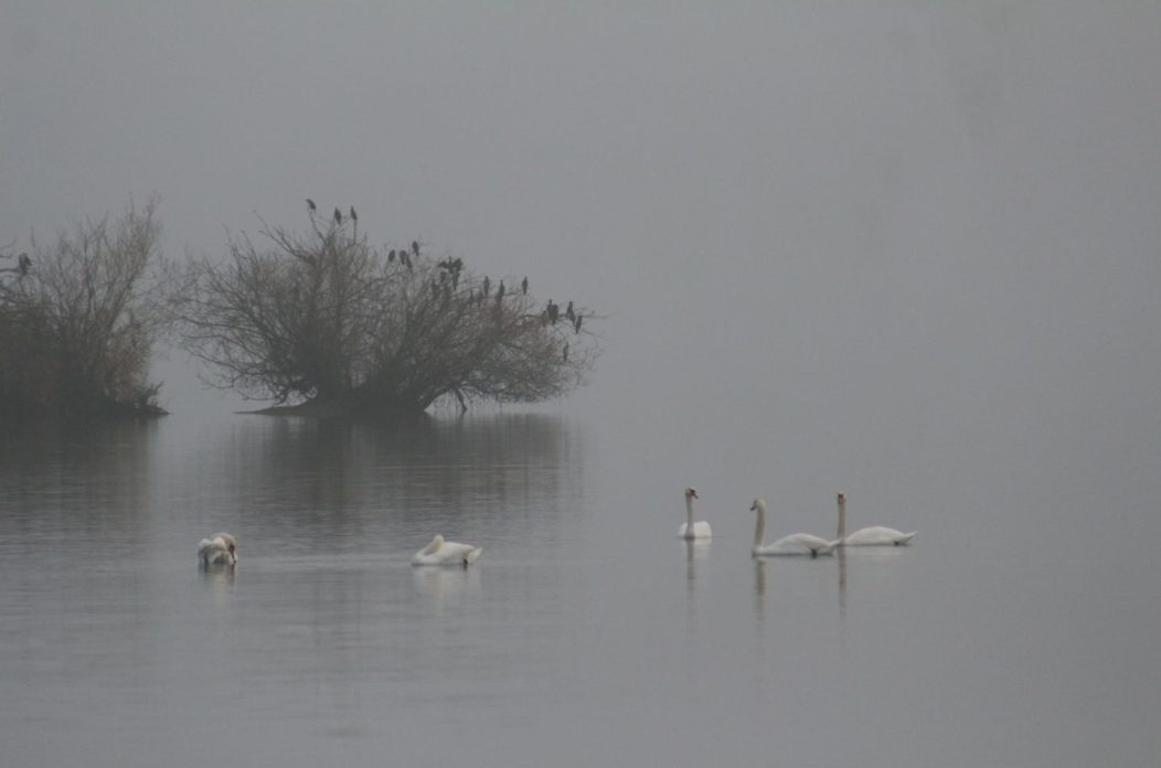 Klikom po Marini 7.12 (17)