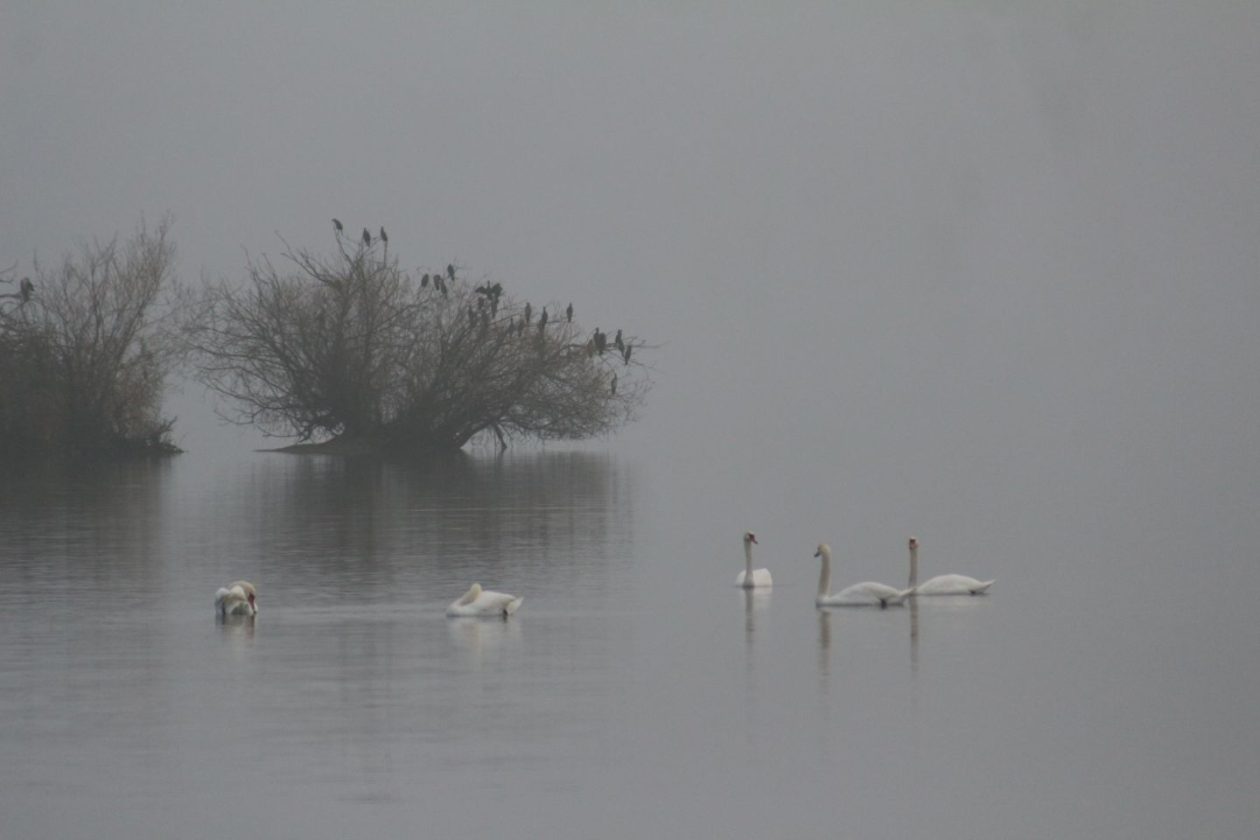 Klikom po Marini 7.12 (17)