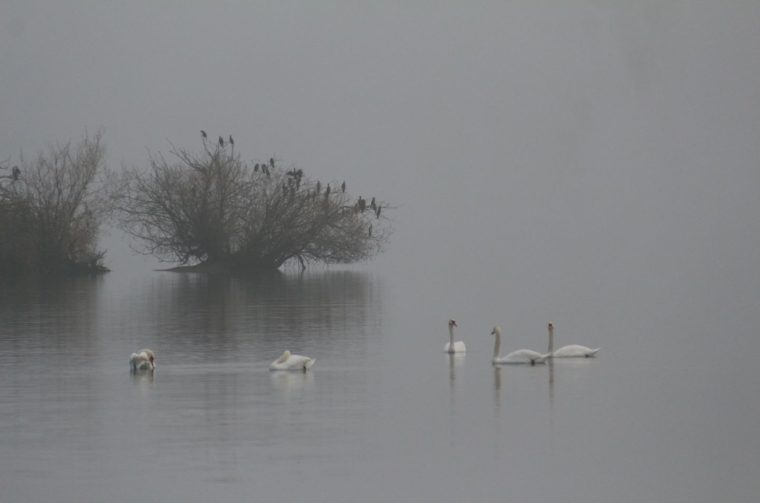 Klikom po Marini 7.12 (17)