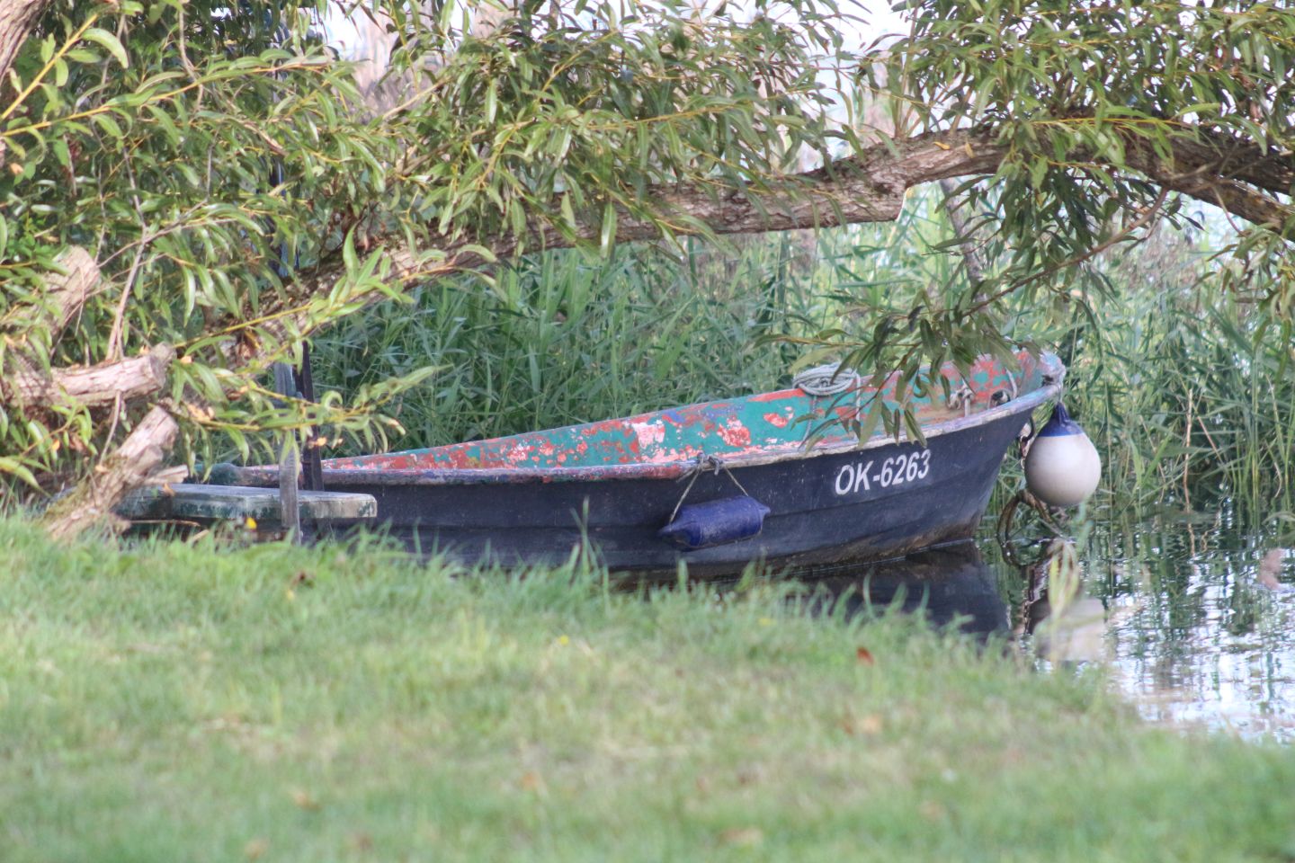 Klikom po Marini 7.9 (16)