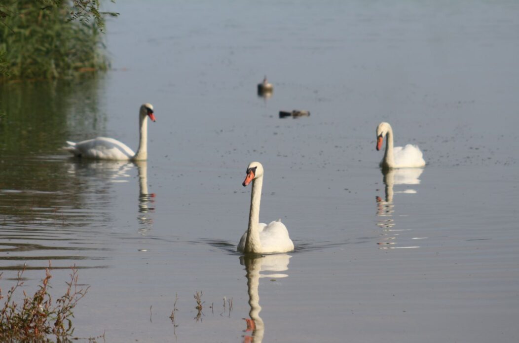 Klikom po Marini 7.9 (36)