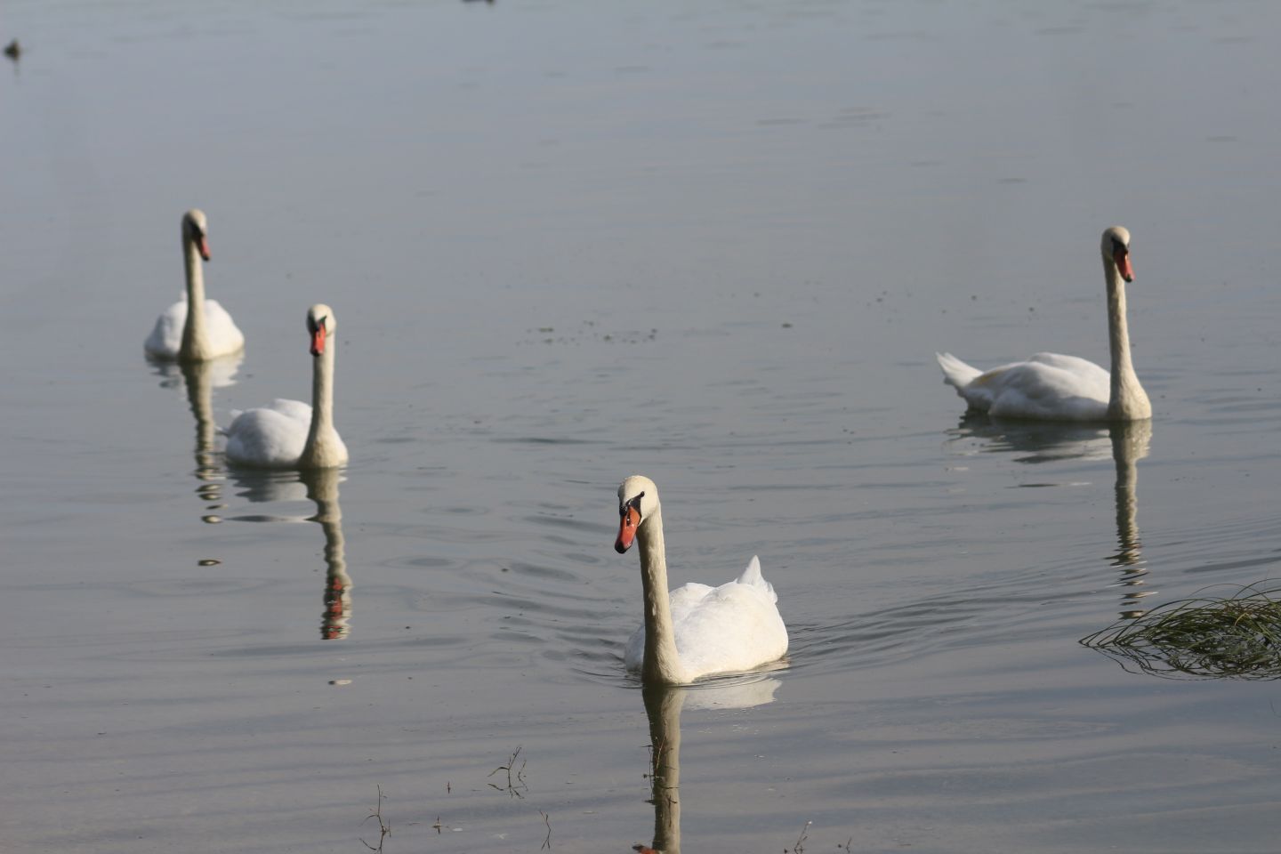 Klikom po Marini 7.9 (38)