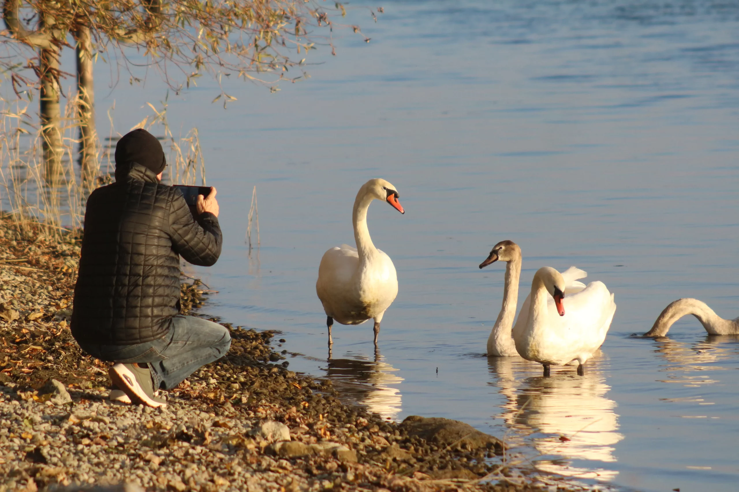 Klikom po Marini 9-11-2025 (40) Klikom po Marini 9-11-2025 (40)