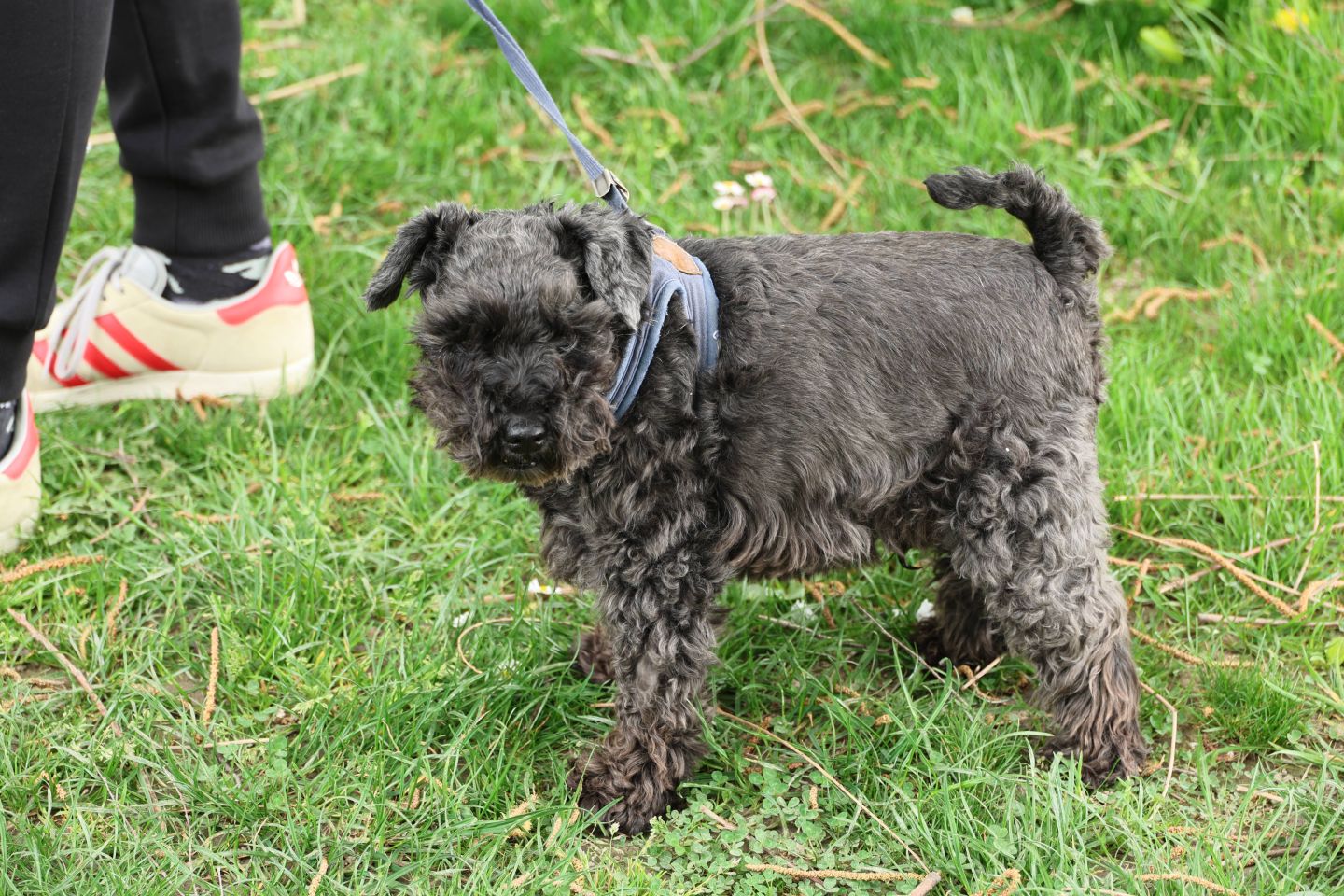 Klikom po Marini Prelog 13.4. 2025 (18) Klikom po Marini Prelog 13.4. 2025 (18)