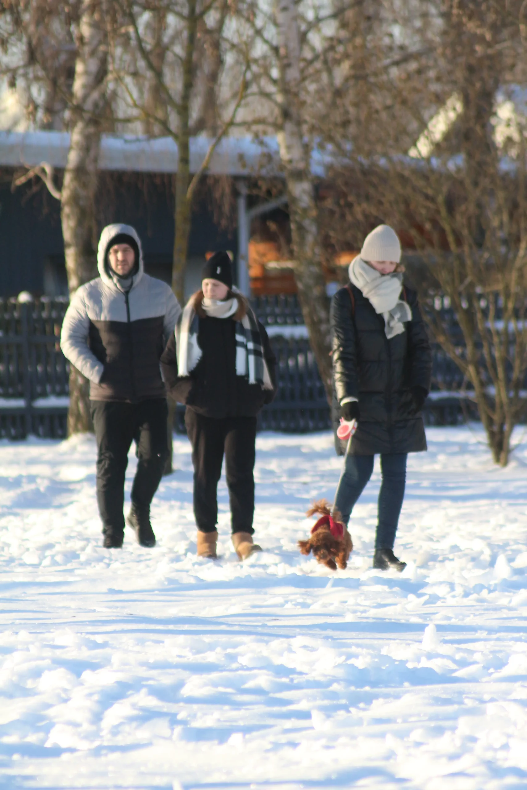 Klikom po marini 11-1-2026 (15)