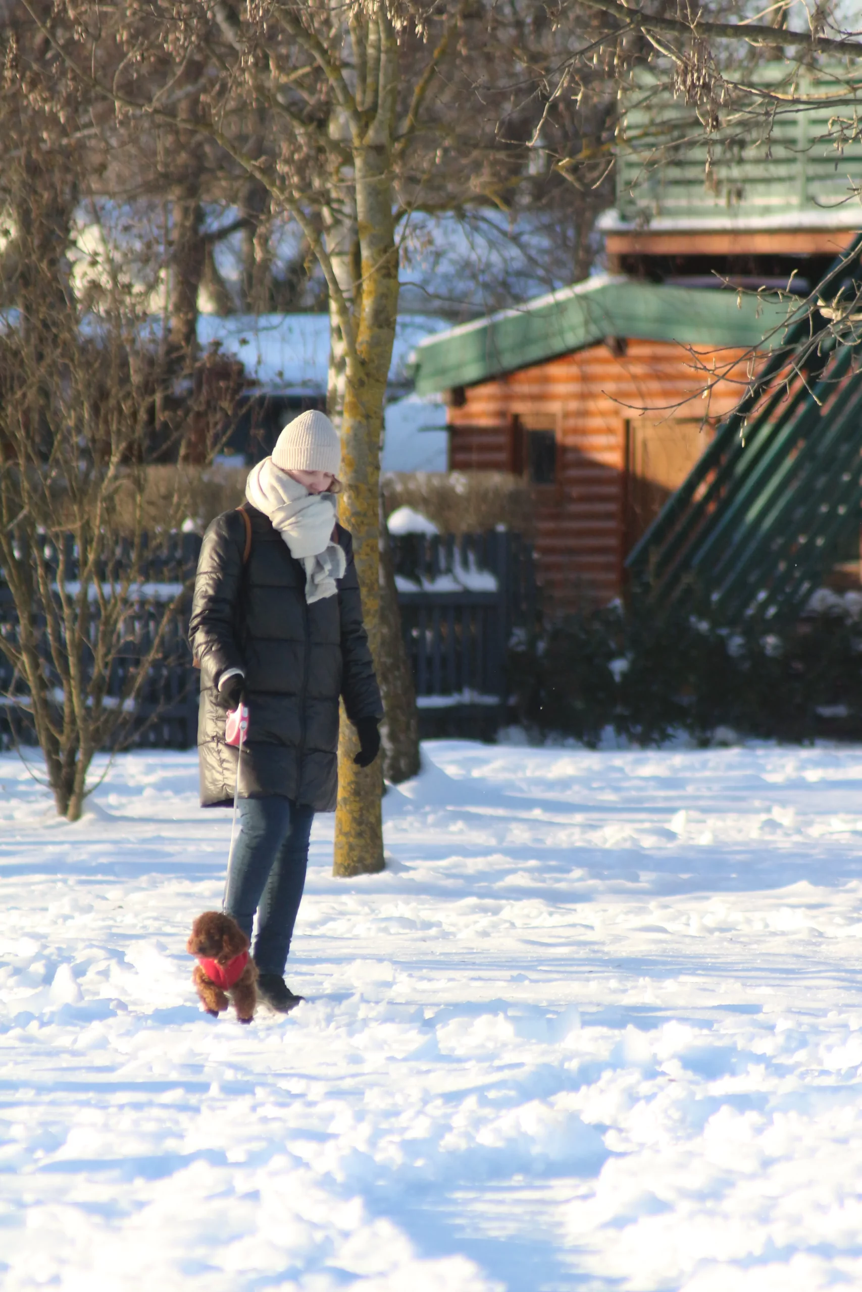 Klikom po marini 11-1-2026 (16)