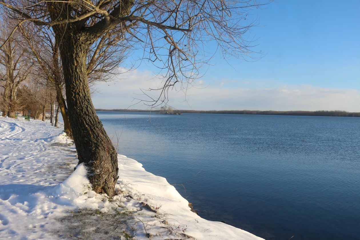 Klikom po marini 11-1-2026 (21)