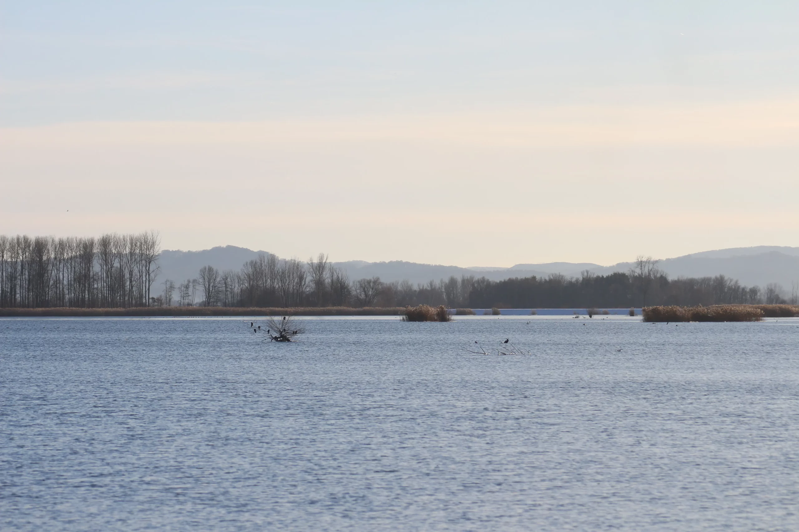 Klikom po marini 11-1-2026 (24)