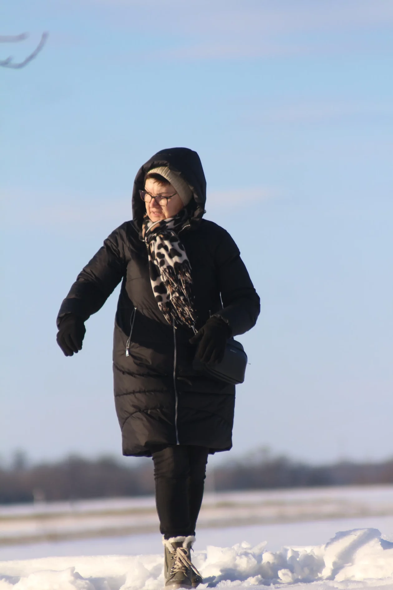 Klikom po marini 11-1-2026 (4)