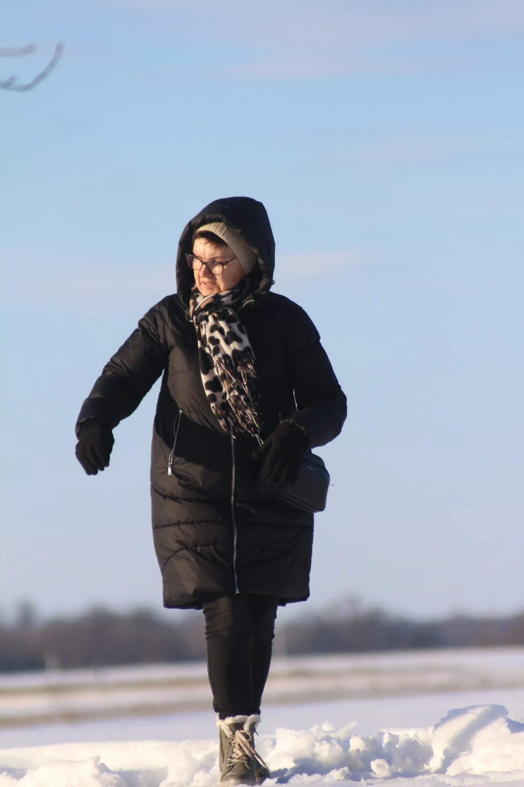 Klikom po marini 11-1-2026 (4)