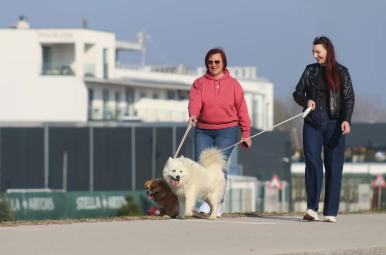 Klikom po marini 15-3-2026 (37)