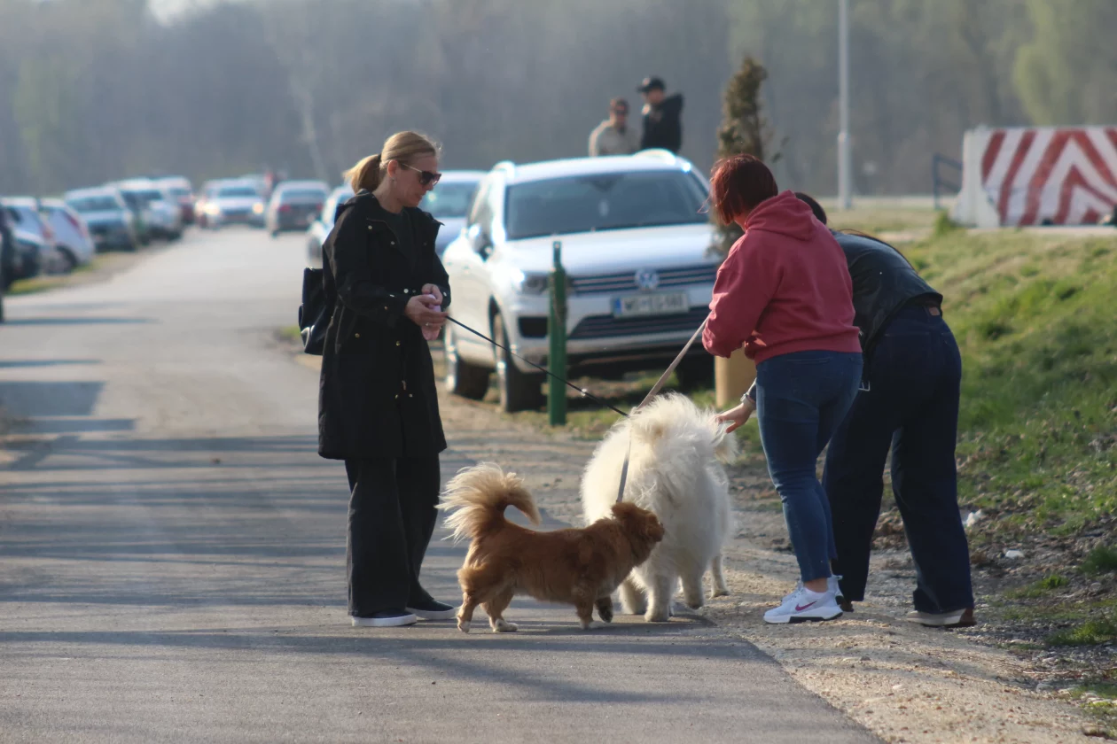 Klikom po marini 15-3-2026 (38) Klikom po marini 15-3-2026 (38)