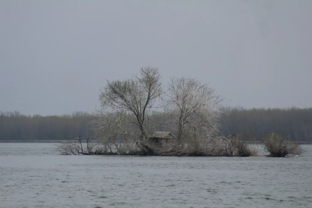 Klikom po marini 22-3-2026 (30) Klikom po marini 22-3-2026 (30)