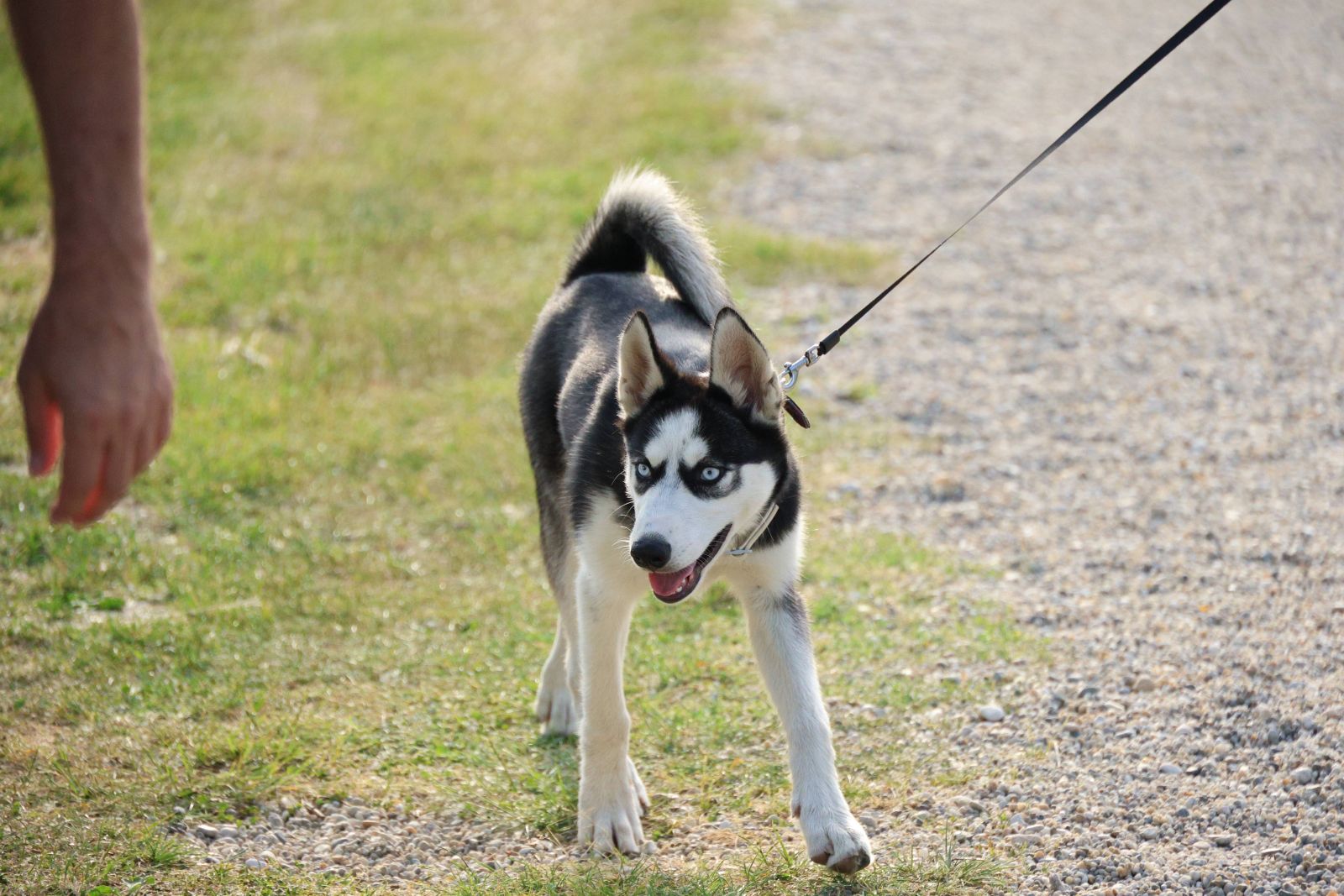 Klikom po marini1506 33