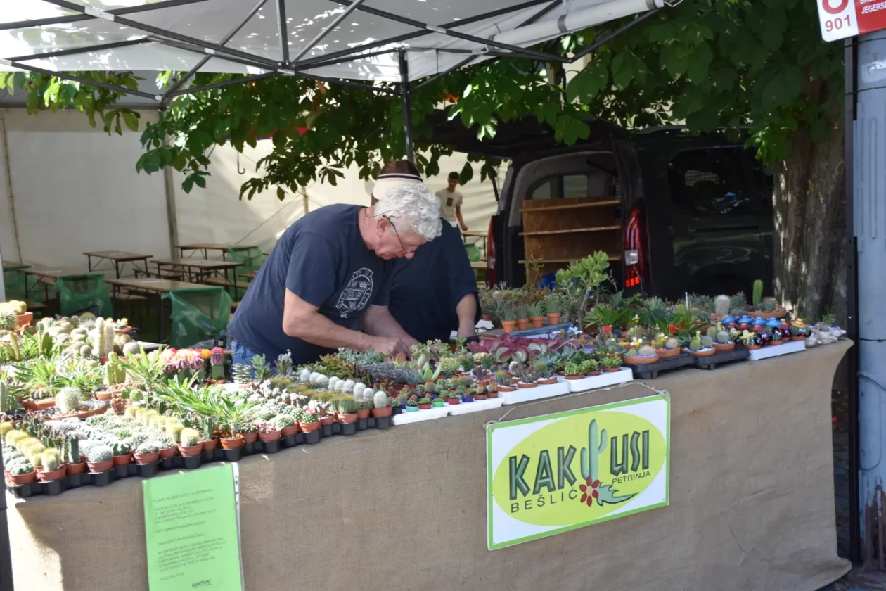 Klikom po proštenju, Porcijunkulovo, 1. dan 30.7.2025 (63)