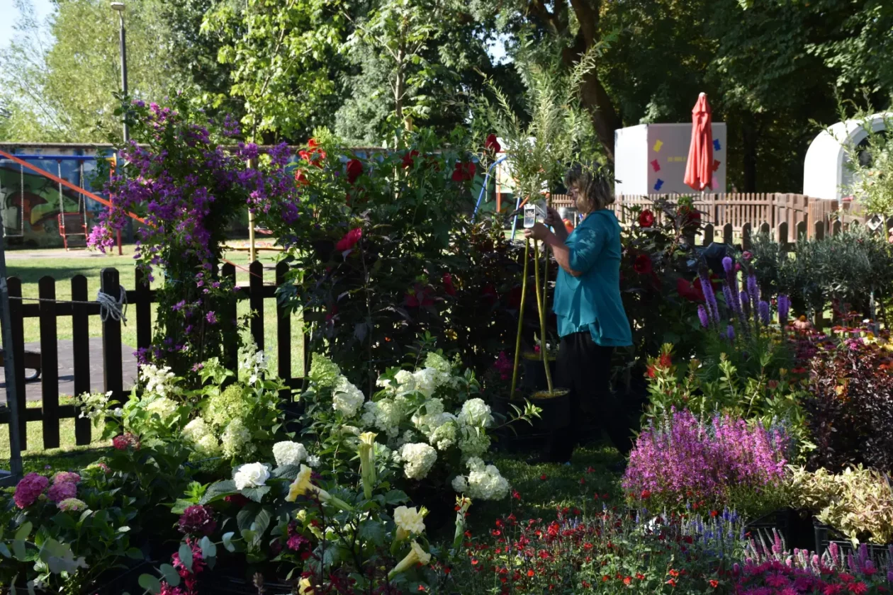 Klikom po proštenju, Porcijunkulovo, 1. dan 30.7.2025 (8)