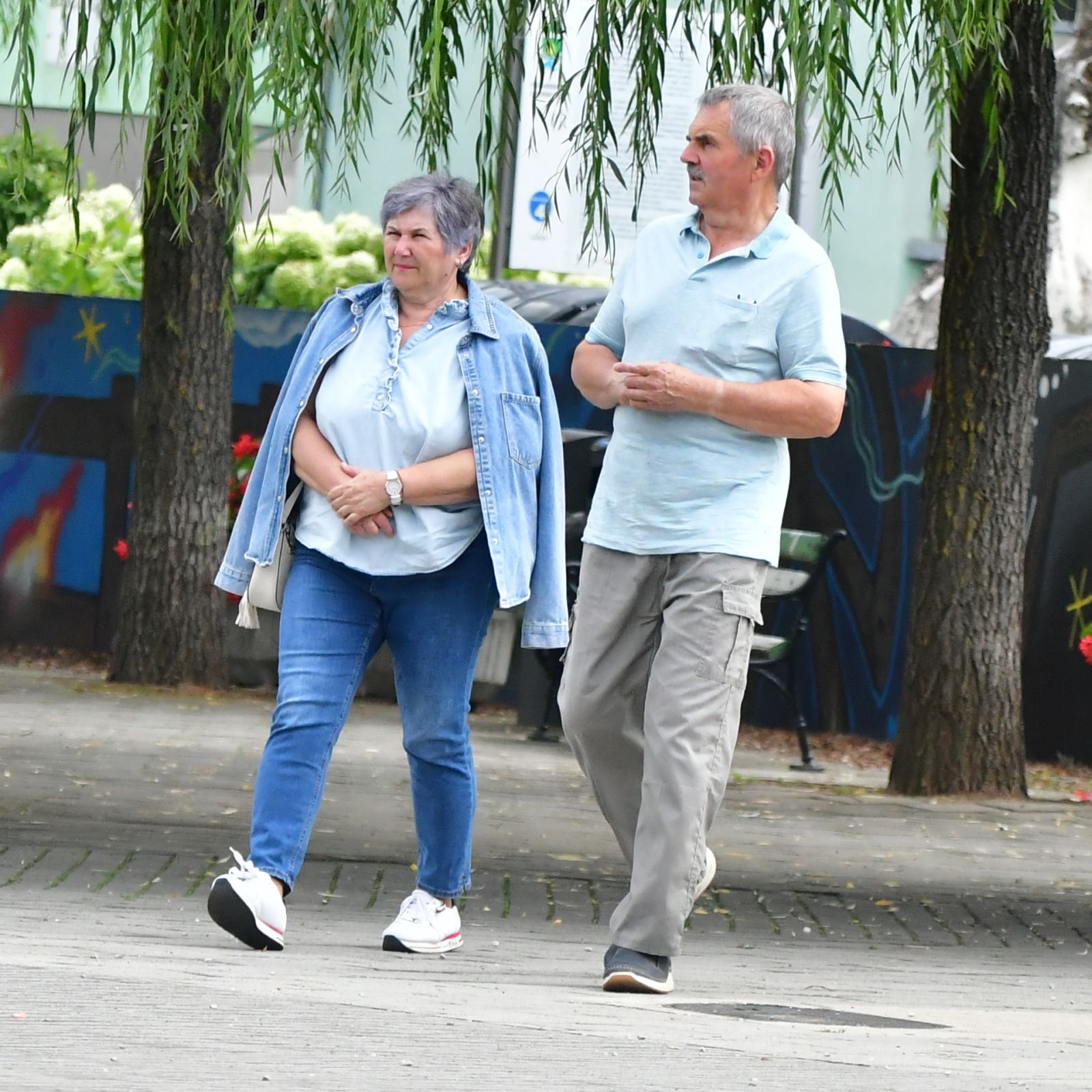 Klikom uz Muru 0308 10