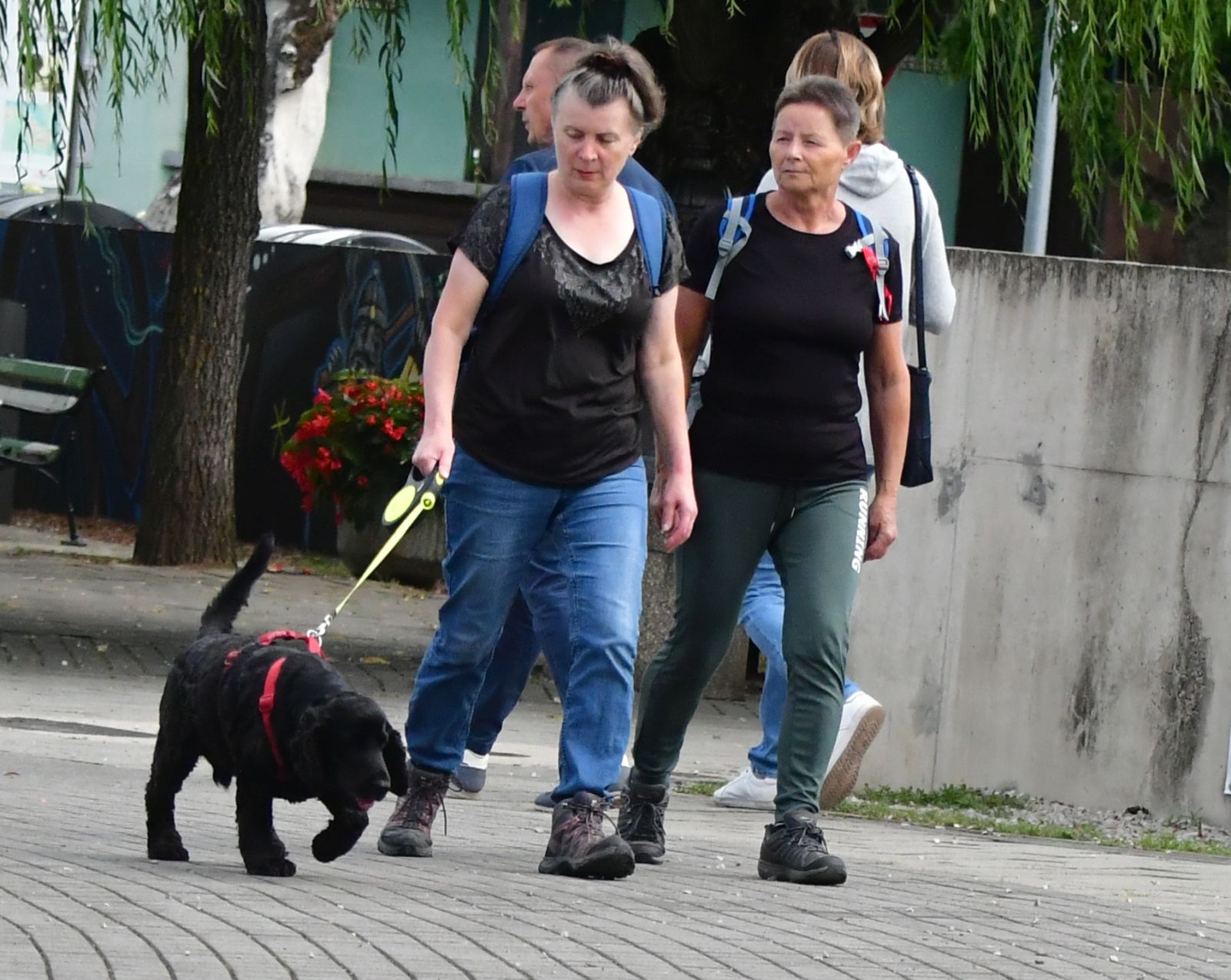 Klikom uz Muru 0308 26