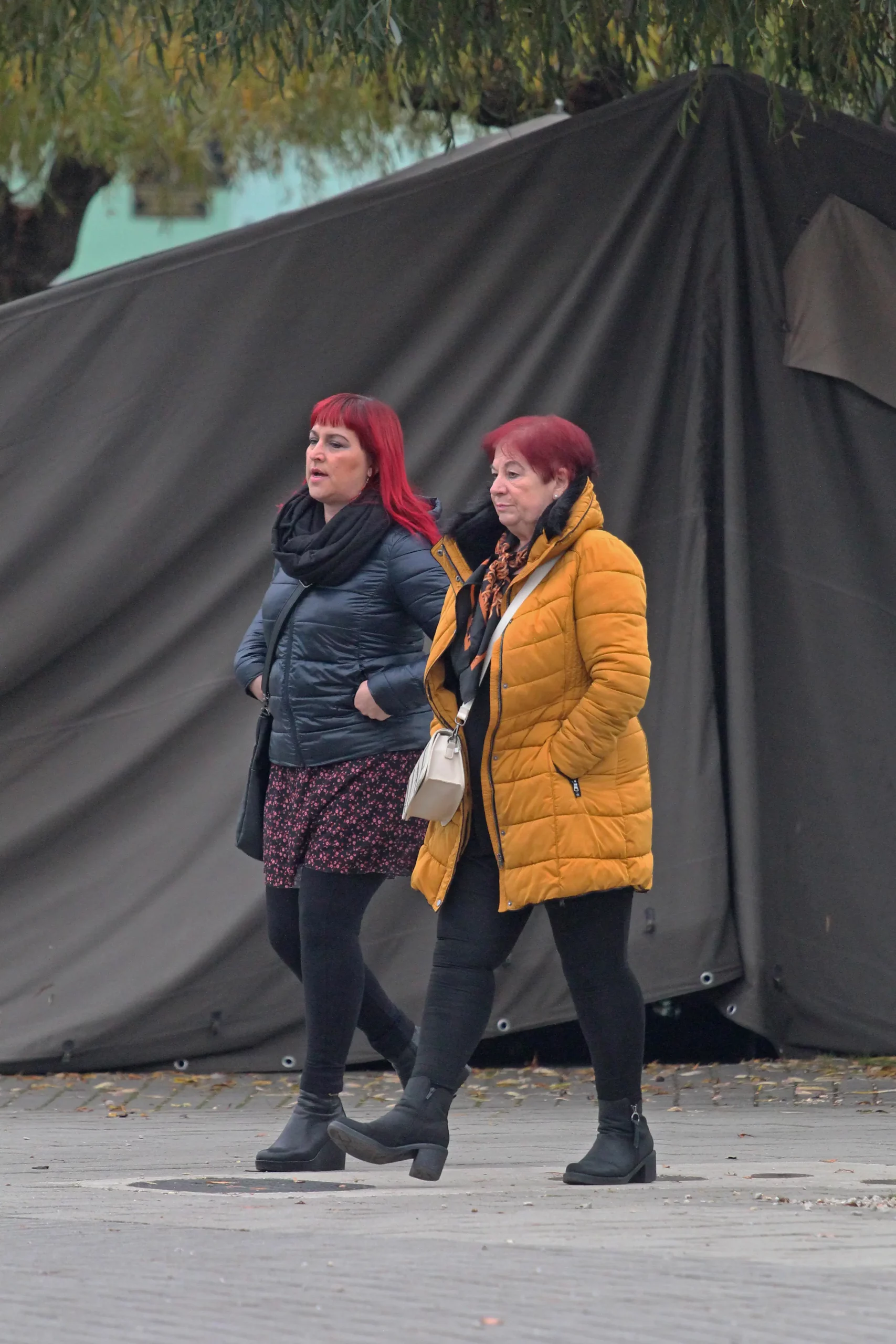 Klikom uz Muru 10.11. 2024 (16) Klikom uz Muru 10.11. 2024 (16)