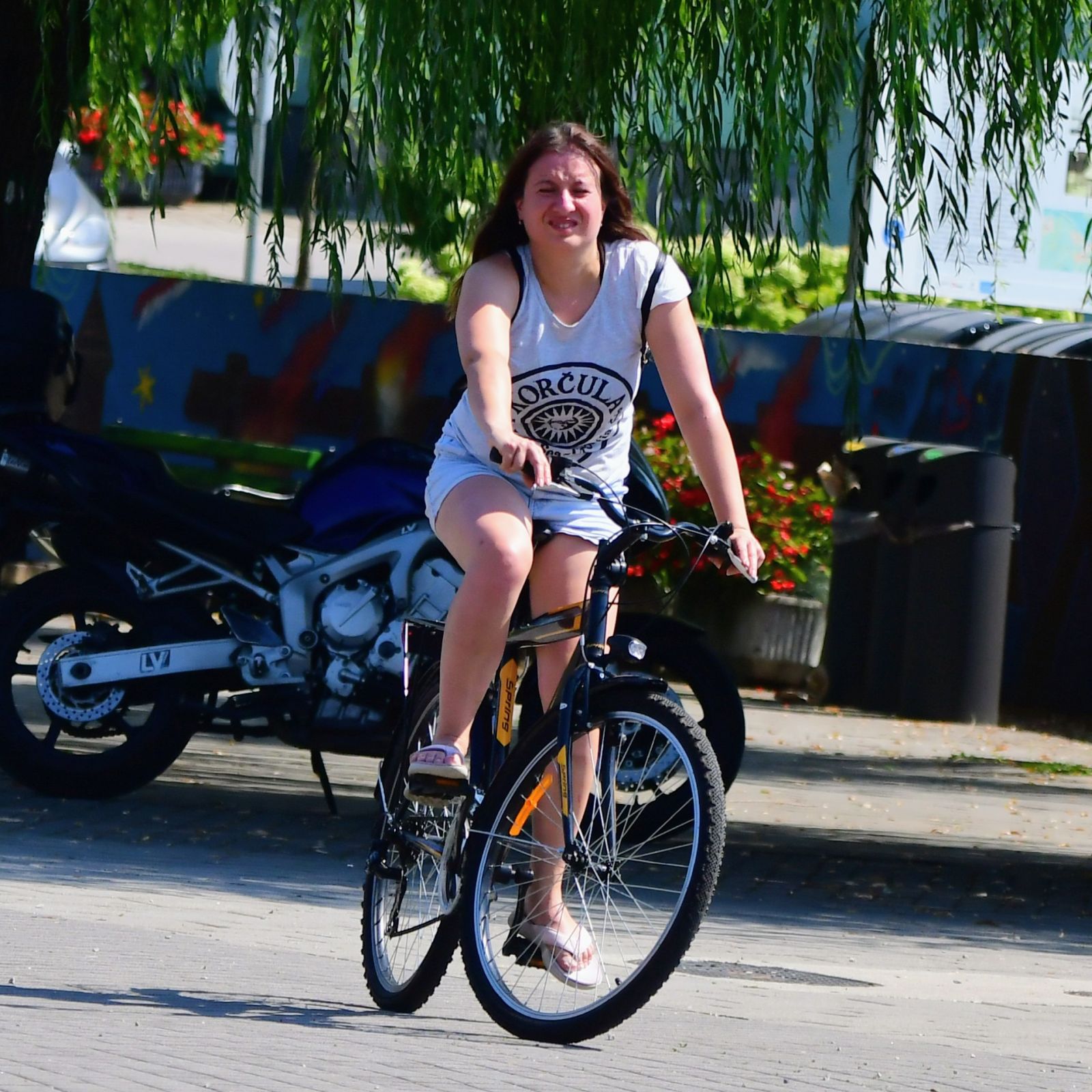 Klikom uz Muru 1008 7