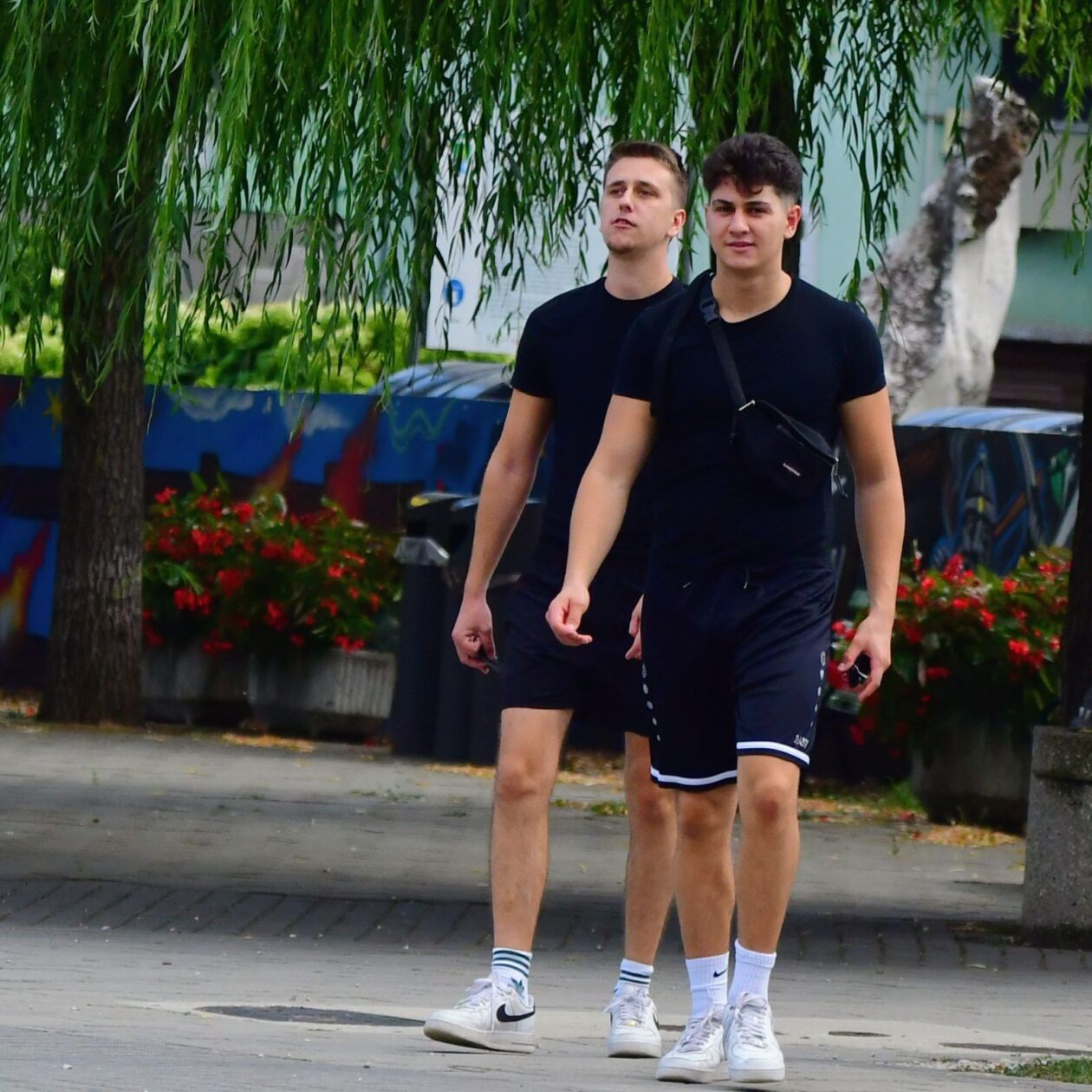 Klikom uz Muru 1708 16