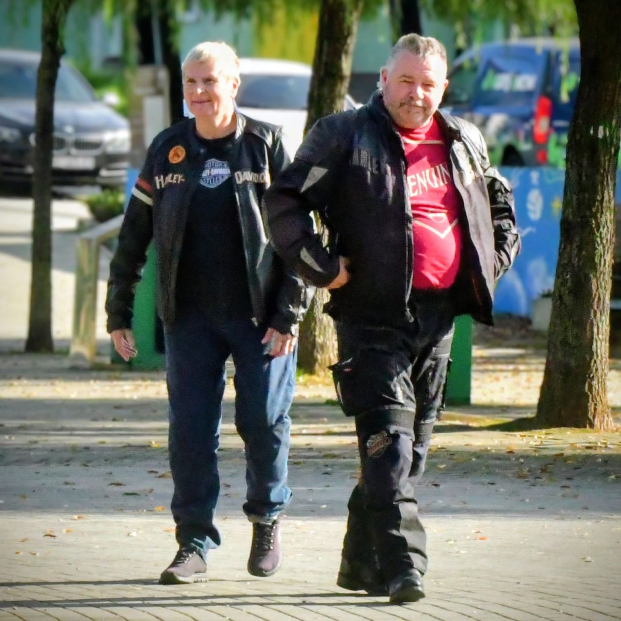 Klikom uz Muru 1910 16