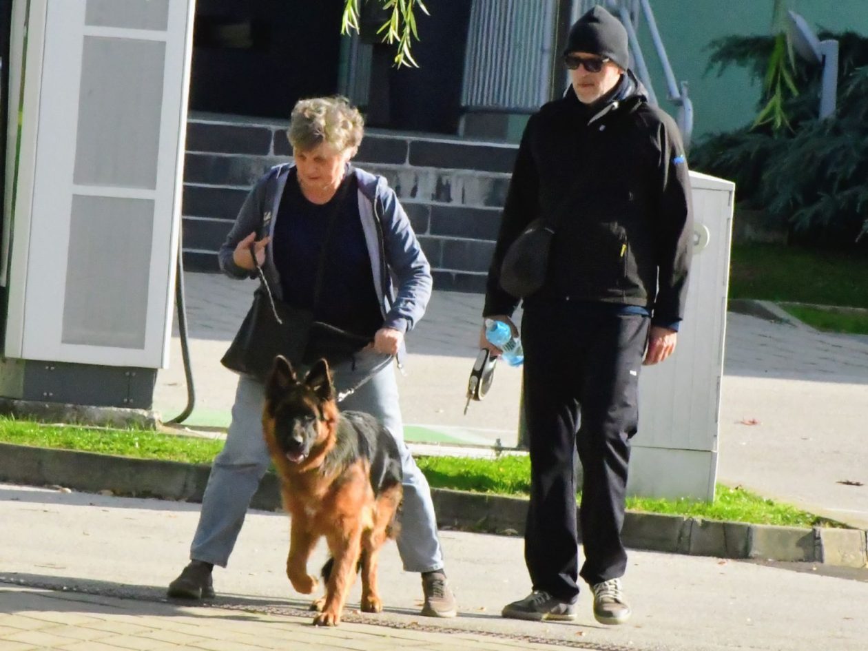 Klikom uz Muru 1910 7