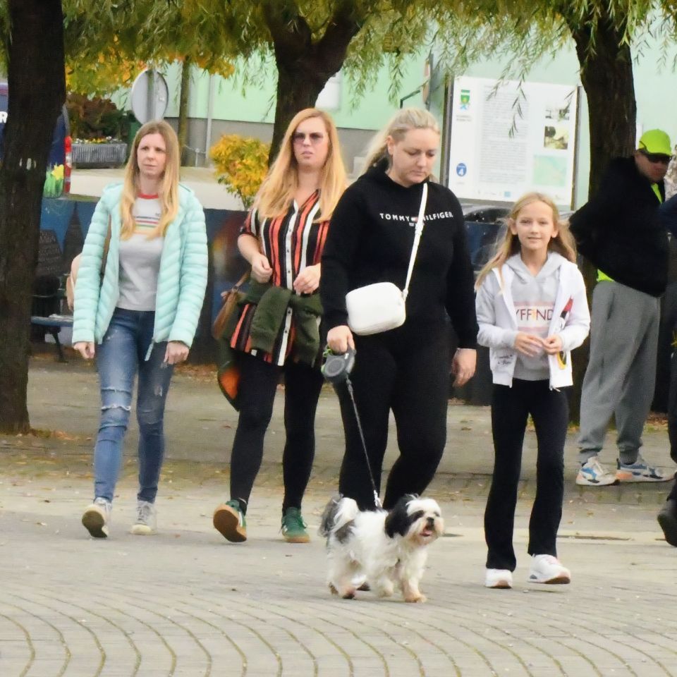 Klikom uz Muru 2.11 (7)