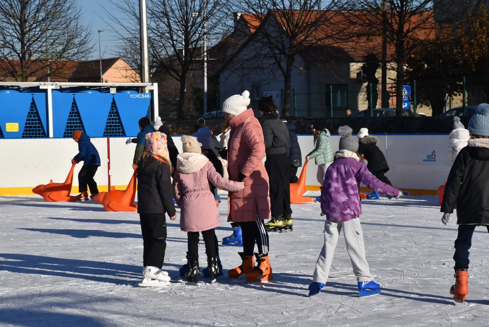 Klizalište, Macan, Tjelesni (1) Klizalište, Macan, Tjelesni (1)