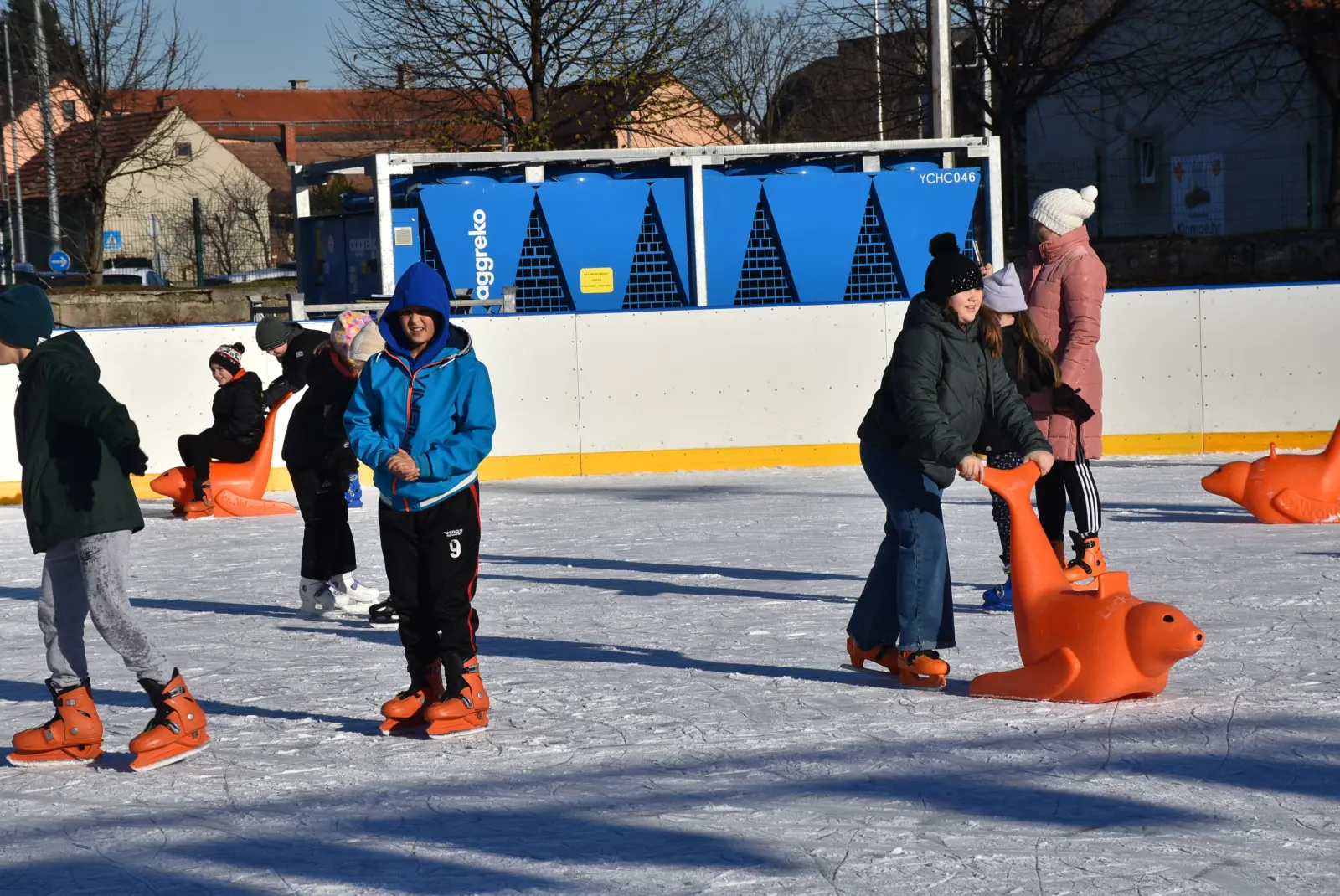 Klizalište, Macan, Tjelesni (4) Klizalište, Macan, Tjelesni (4)