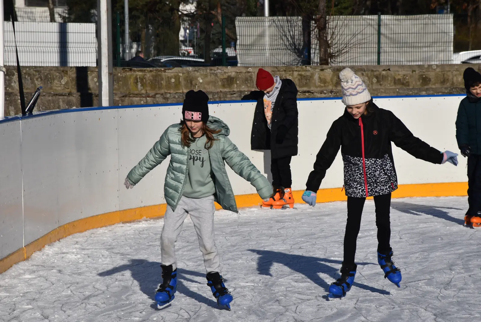 Klizalište, Macan, Tjelesni (8) Klizalište, Macan, Tjelesni (8)