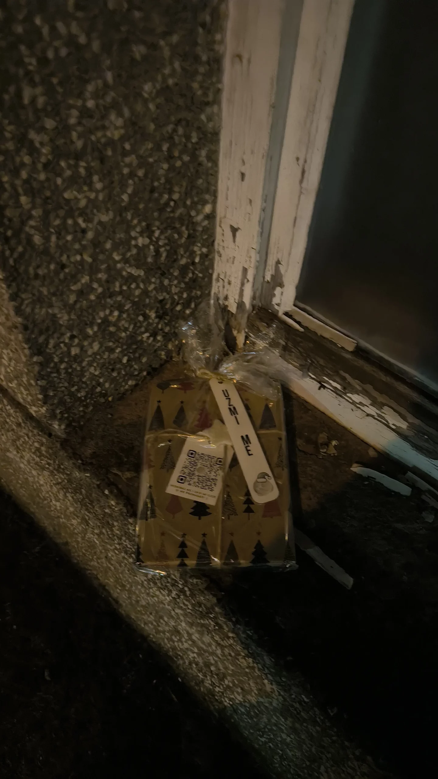 Knjige Nedelišče Badnjak poklon – udruga Aristo (7)