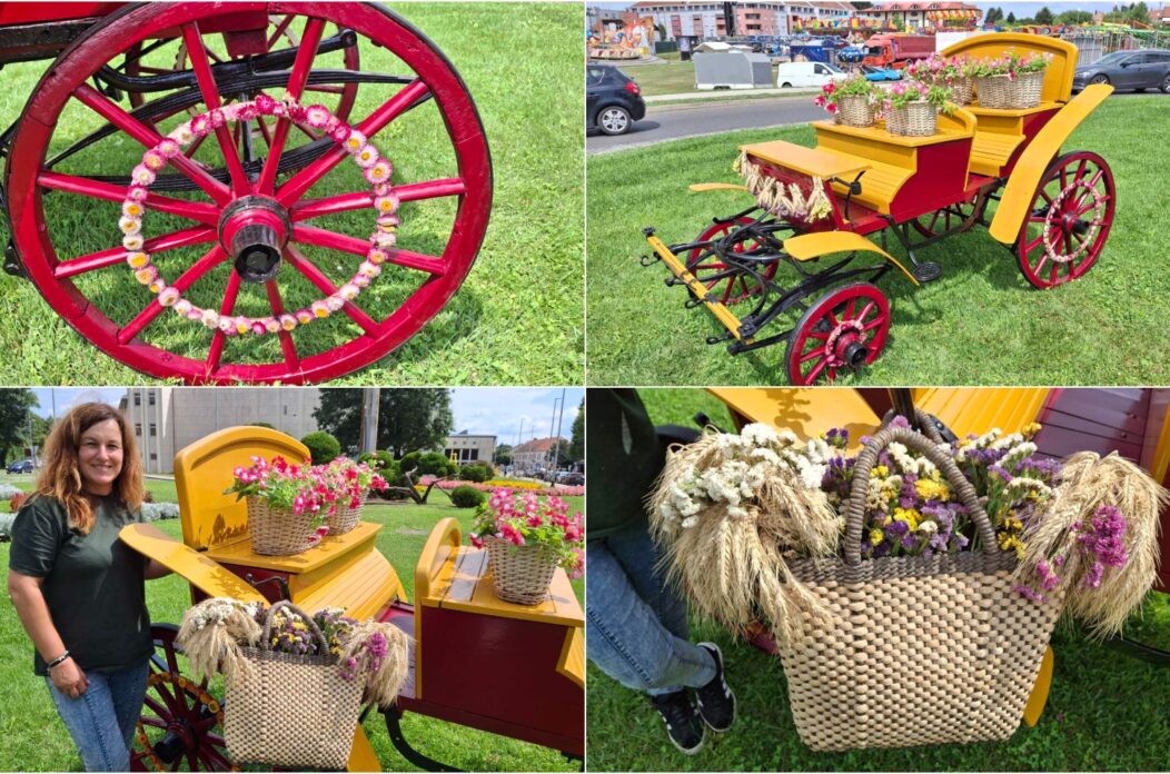 Kočija naslovna Tatjana Lukman