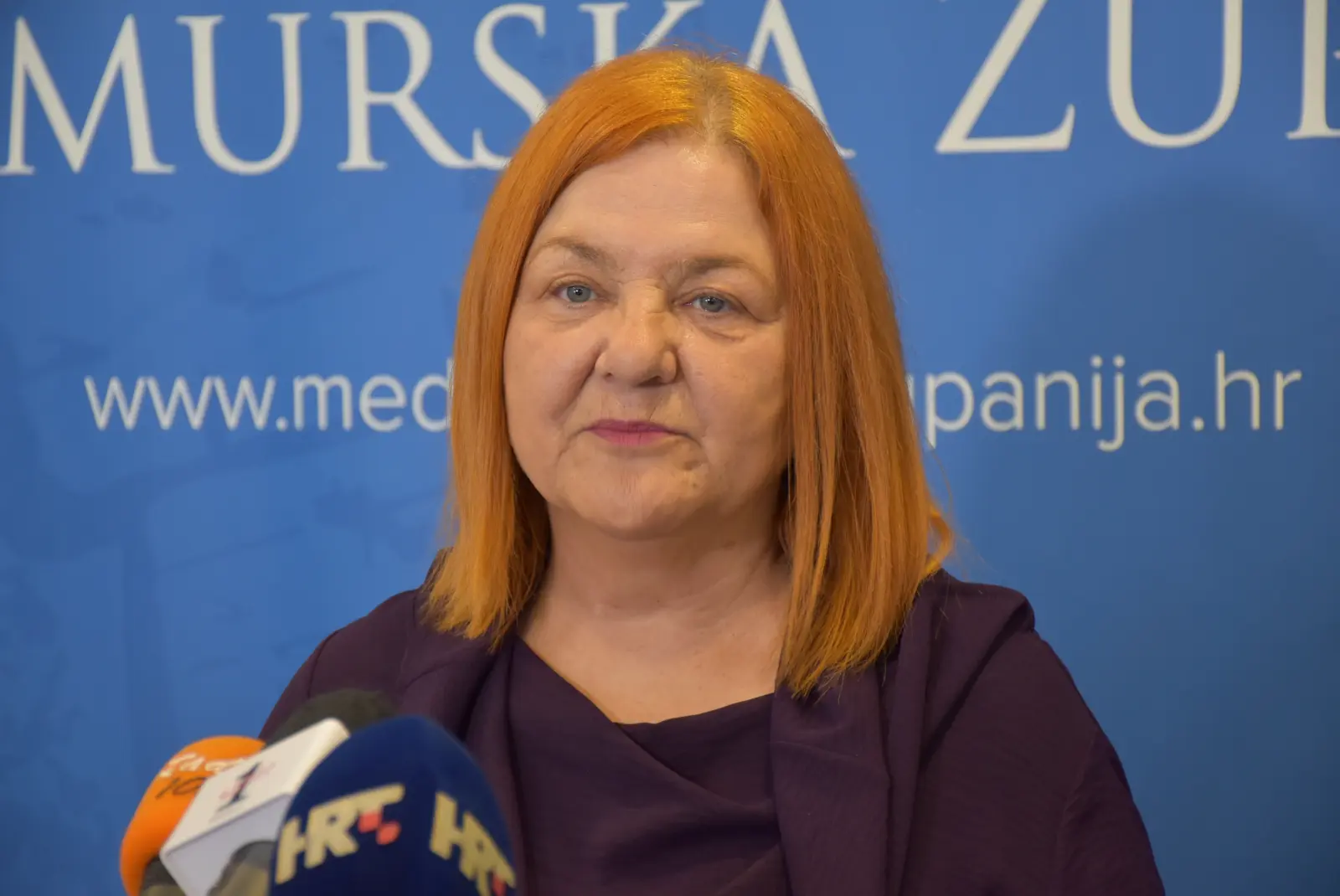 Kolegij, Međimurska županija (2) Kolegij, Međimurska županija (2)