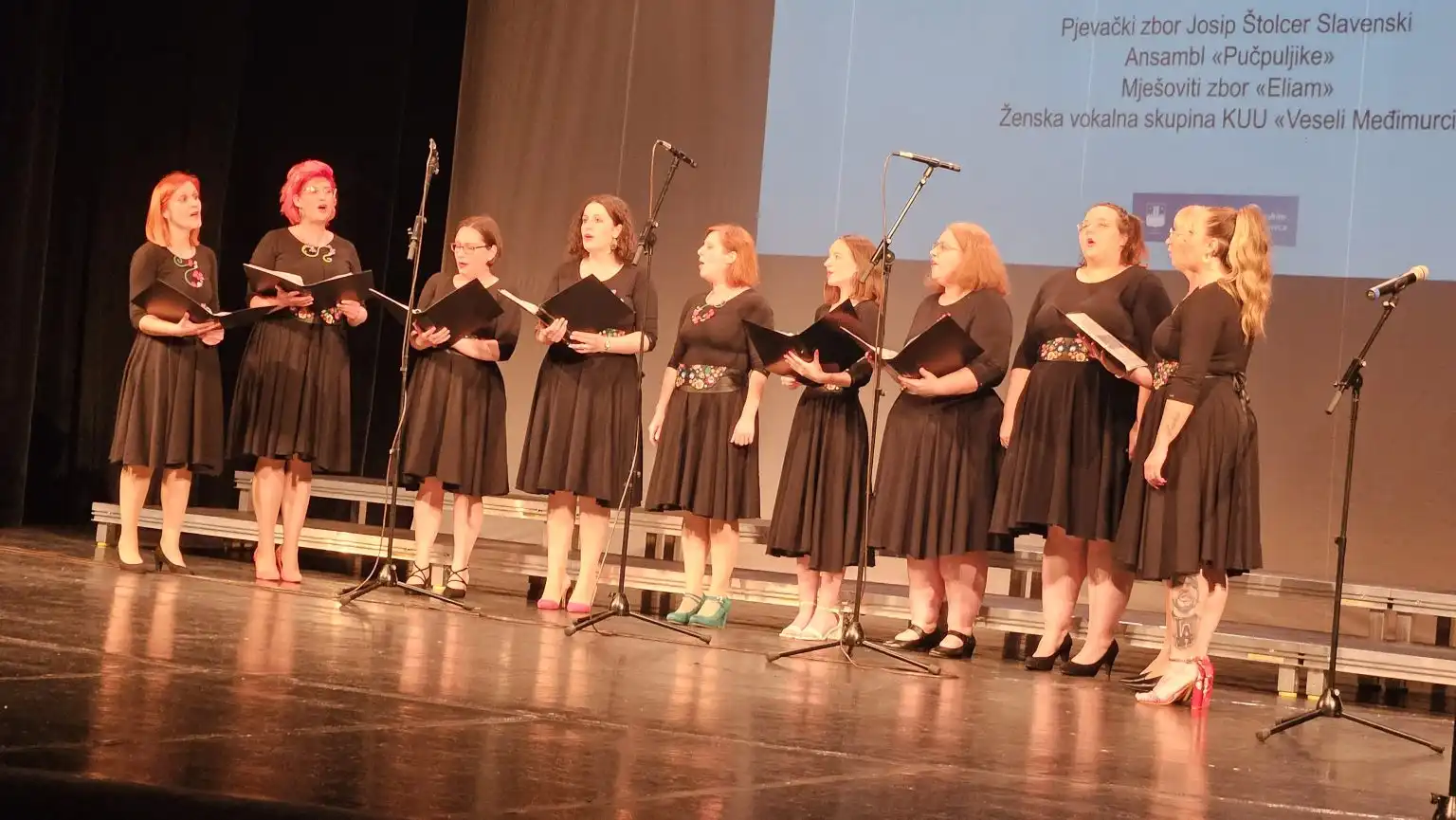 Koncert lepi glas se daleko čuje 2024. (13)