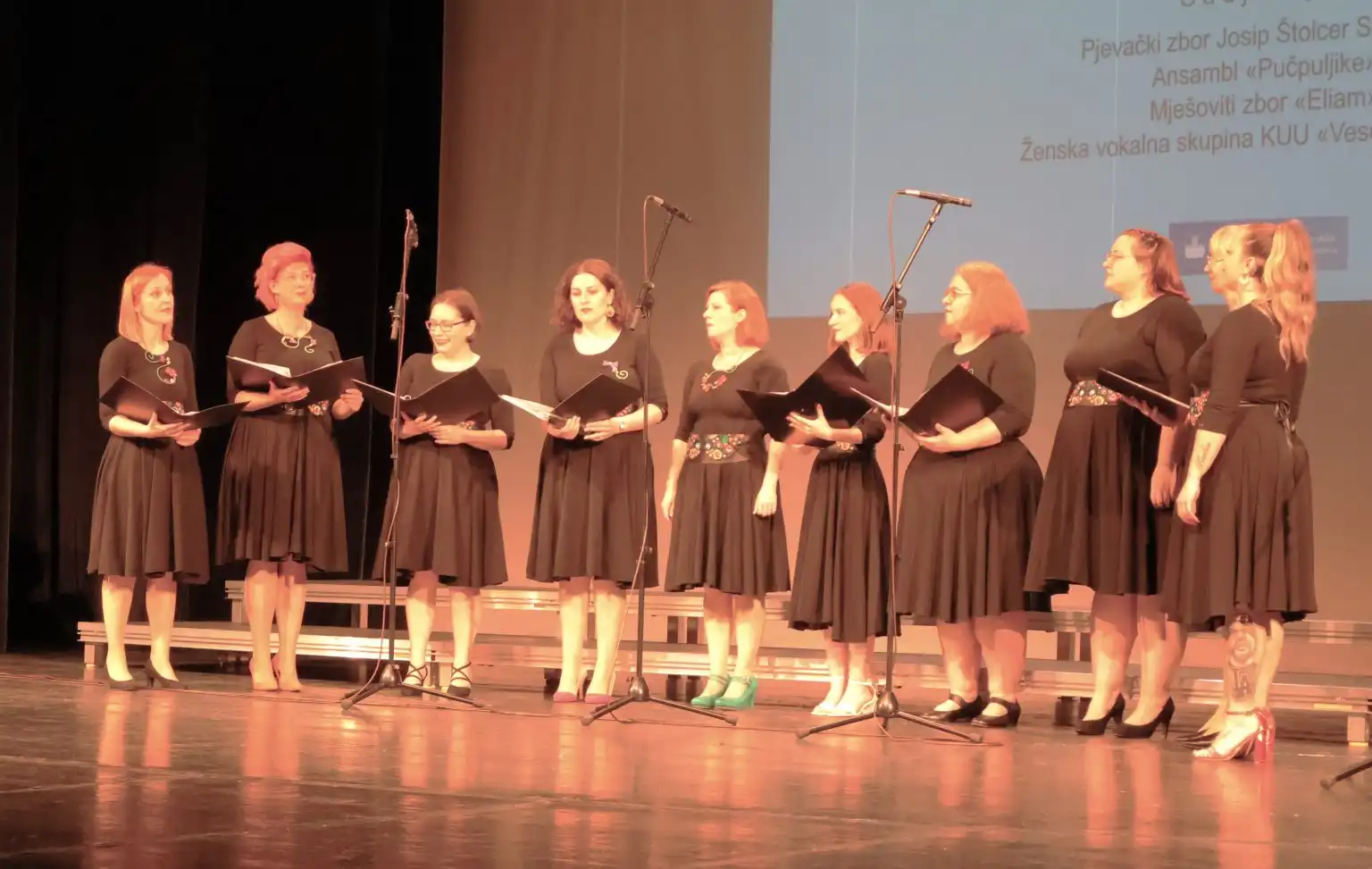 Koncert lepi glas se daleko čuje 2024. (7)