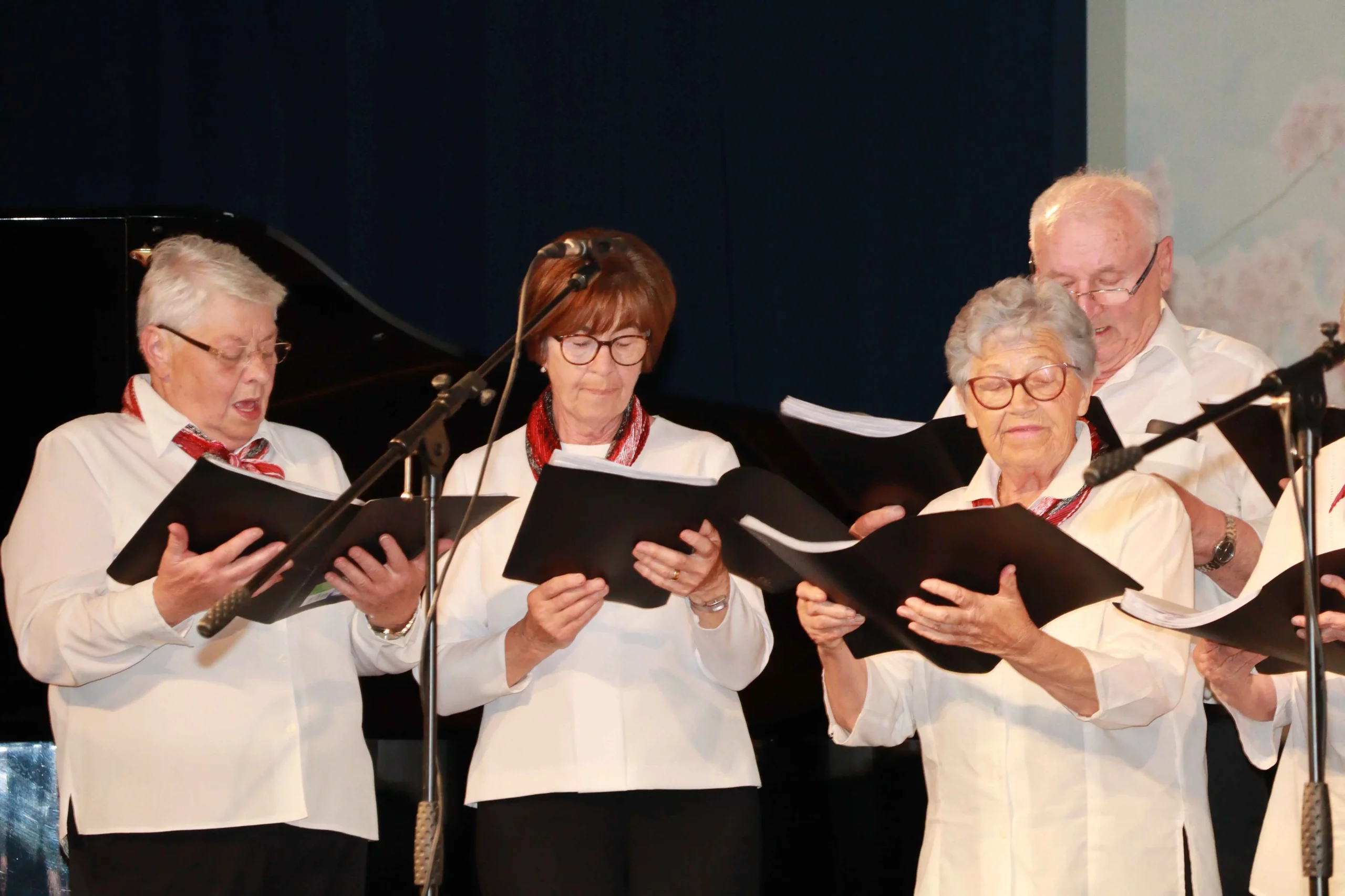 Koncert za majčin dan Prelog 2024 (35) Koncert za majčin dan Prelog 2024 (35)