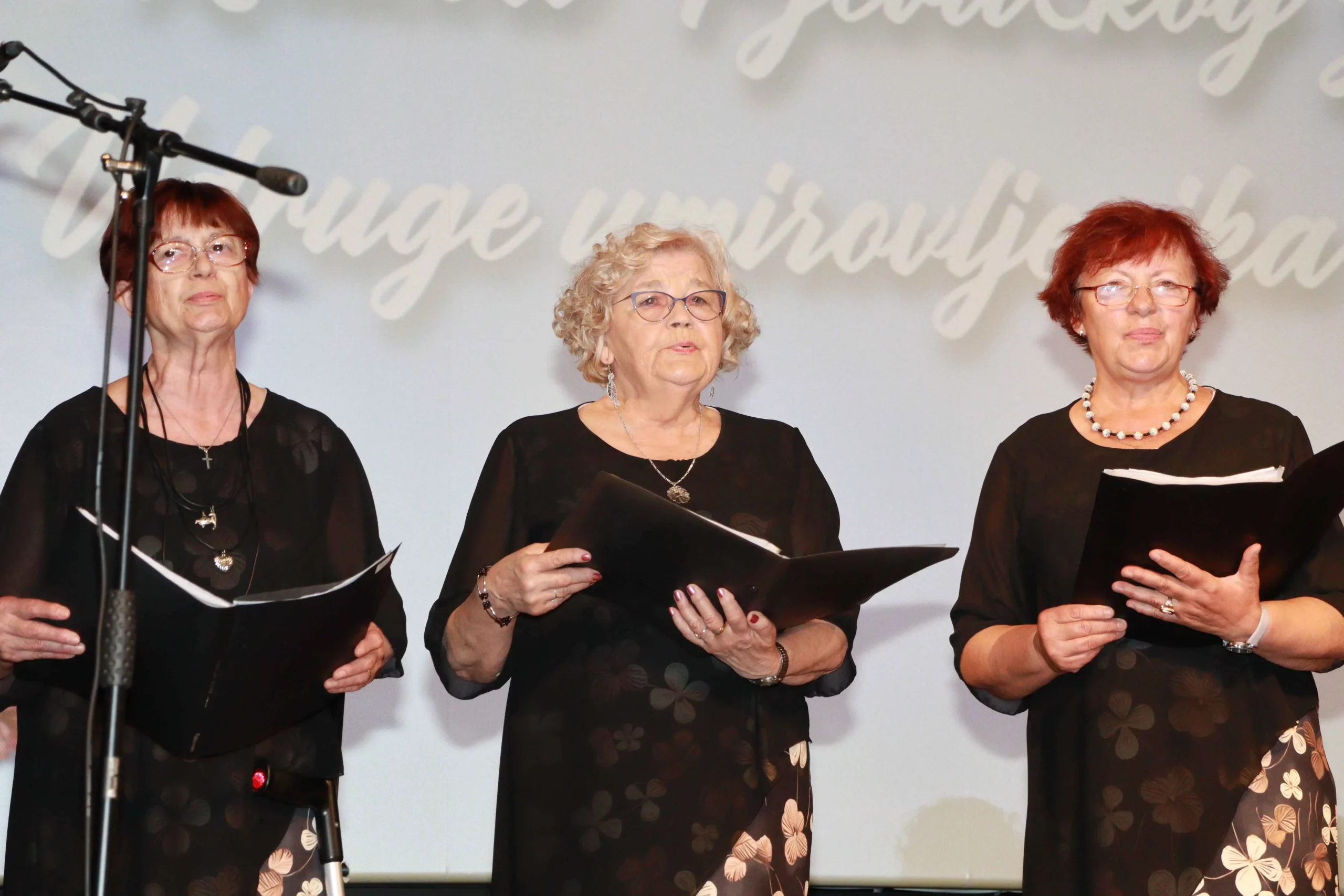 Koncert za majčin dan Prelog 2024 (7) Koncert za majčin dan Prelog 2024 (7)