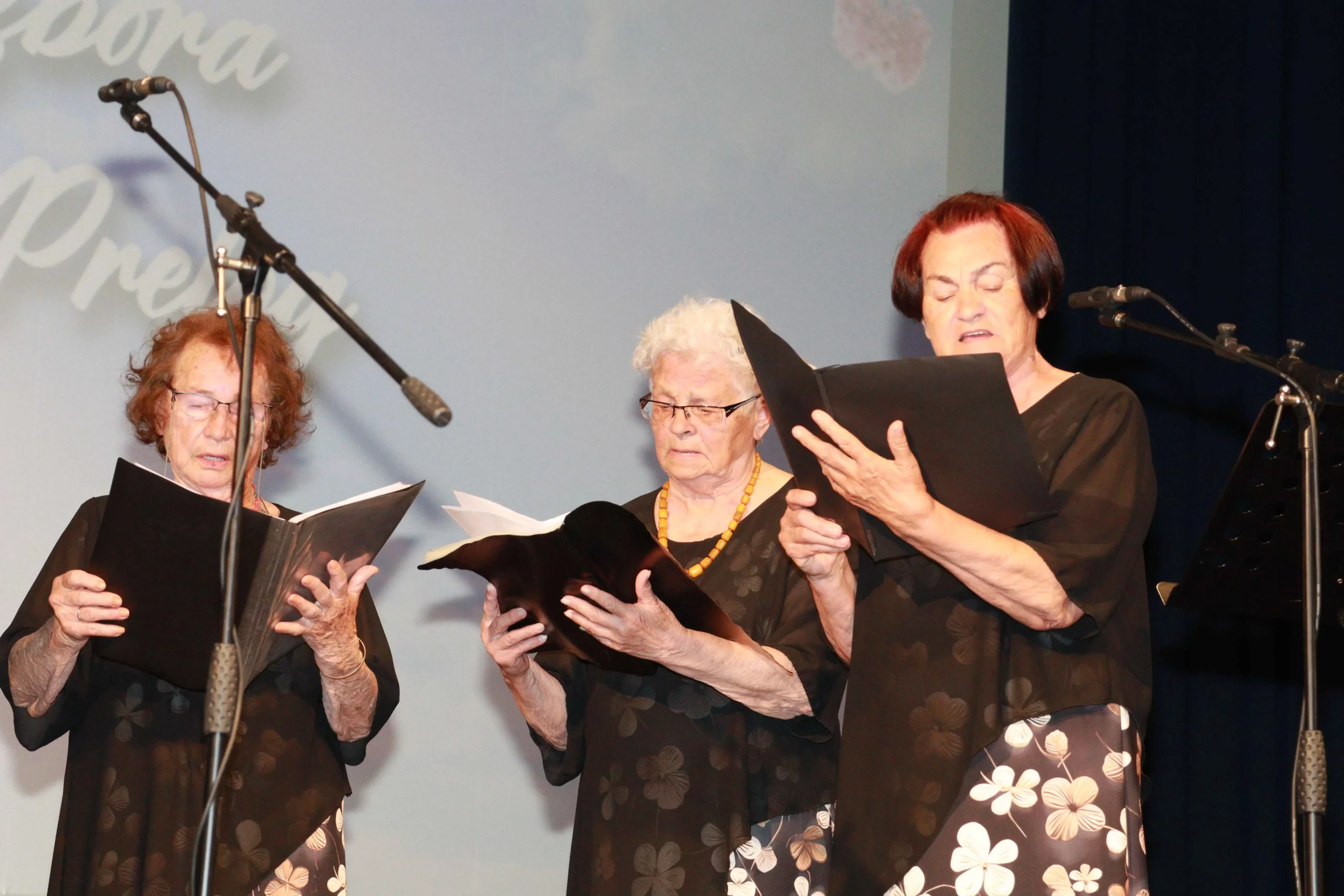 Koncert za majčin dan Prelog 2024 (9) Koncert za majčin dan Prelog 2024 (9)