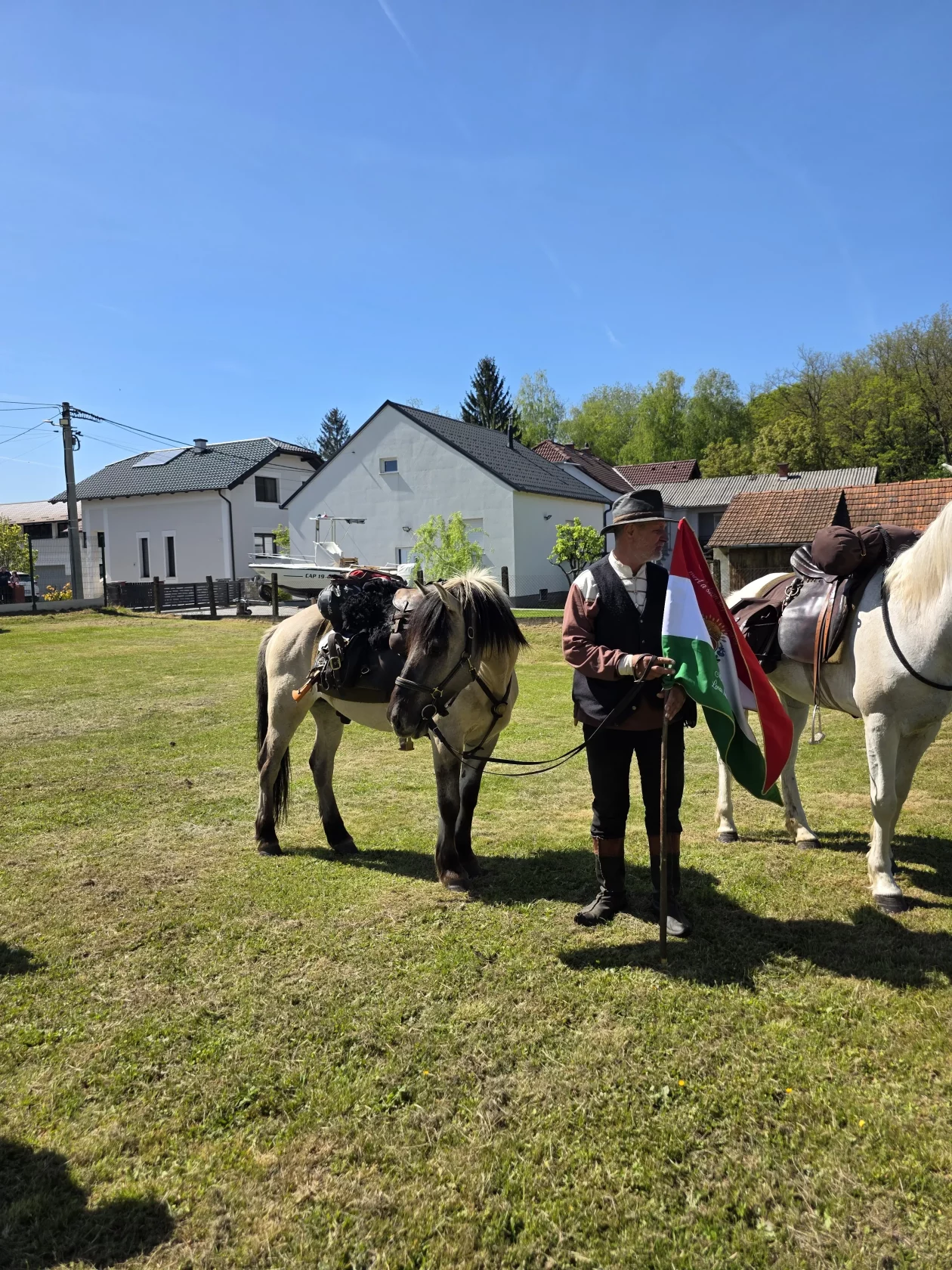 Konjanici Mađarska konj konji (11)