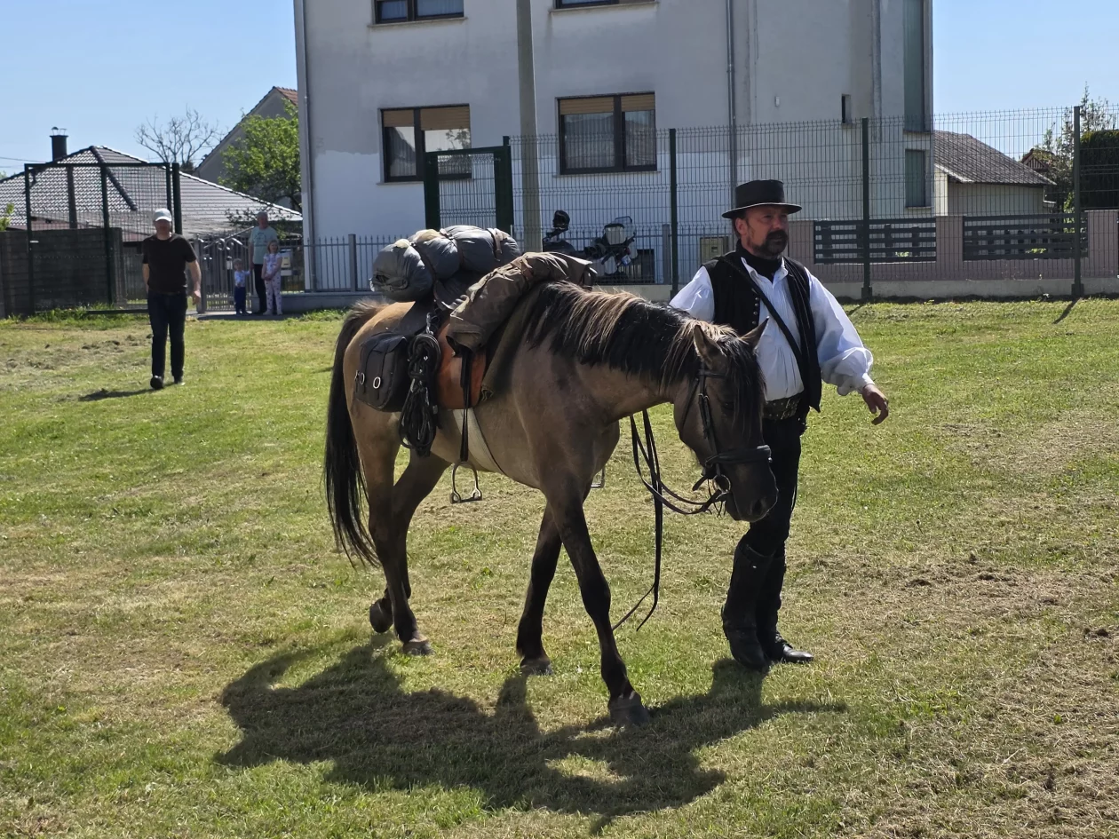 Konjanici Mađarska konj konji (12)