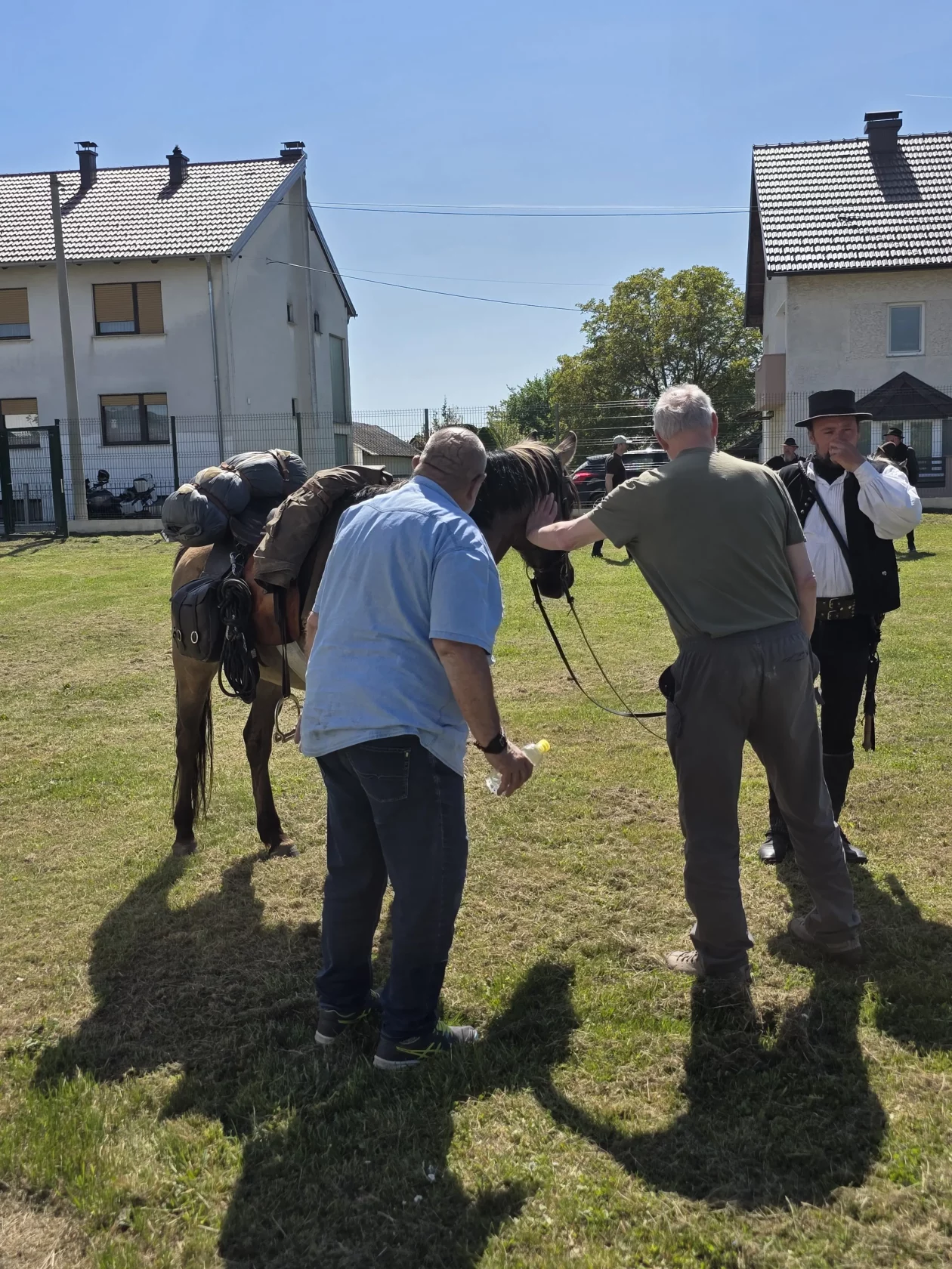 Konjanici Mađarska konj konji (15)