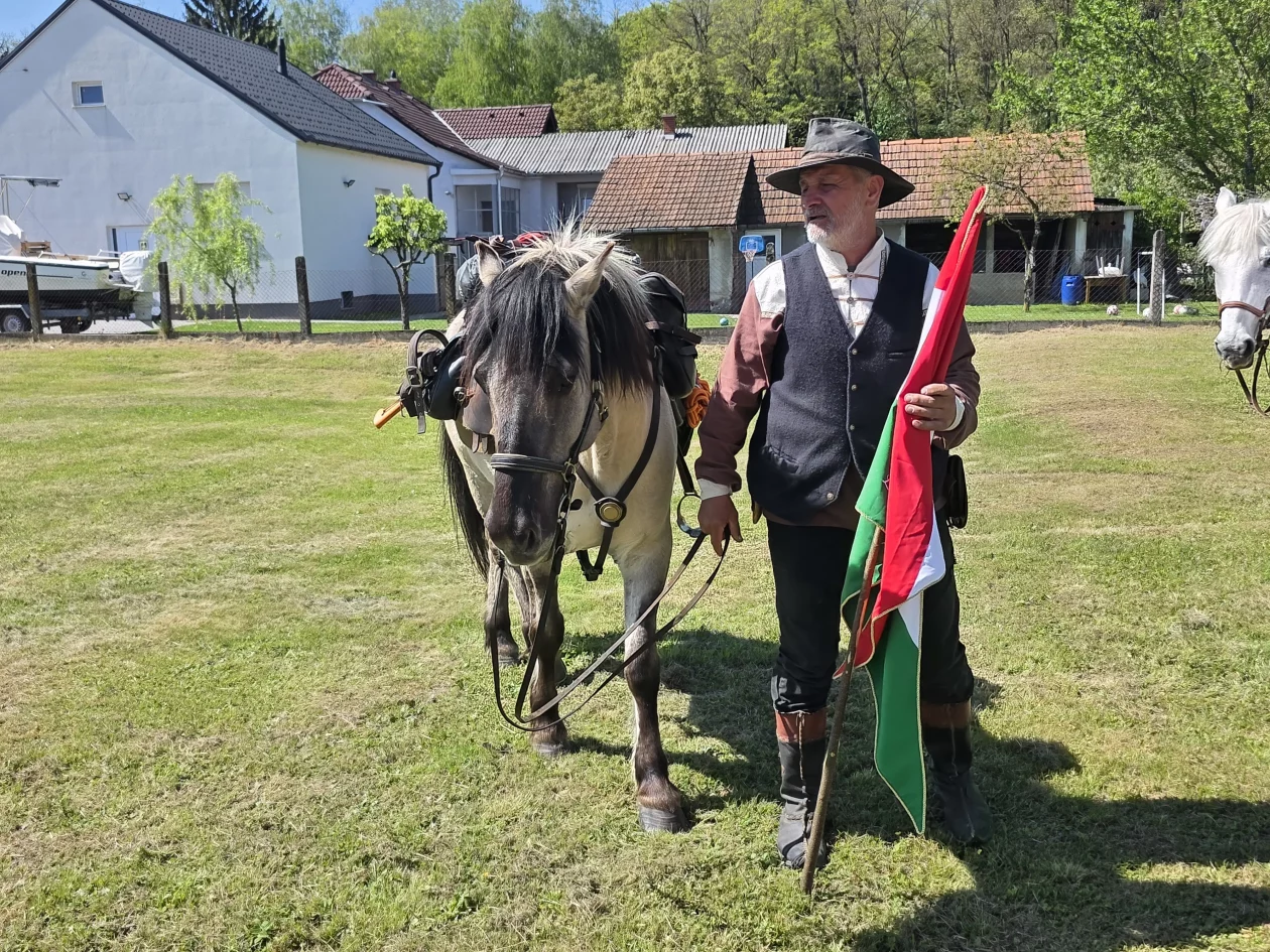 Konjanici Mađarska konj konji (17)