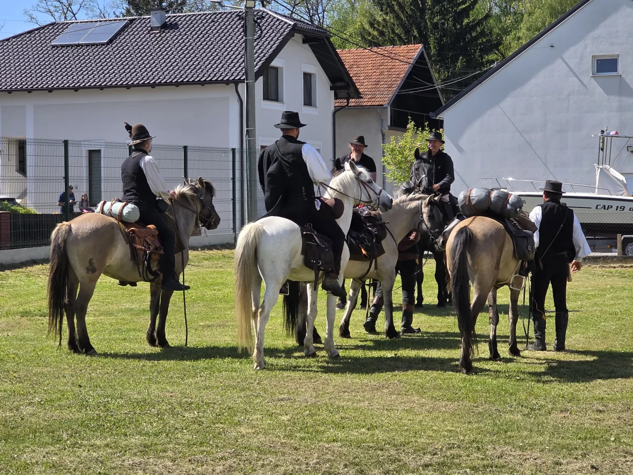 Konjanici Mađarska konj konji (3)