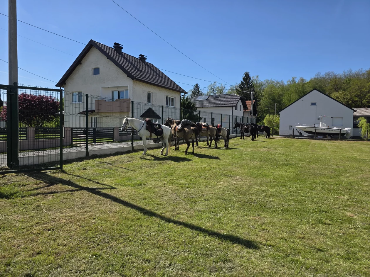 Konjanici Mađarska konj konji (50)